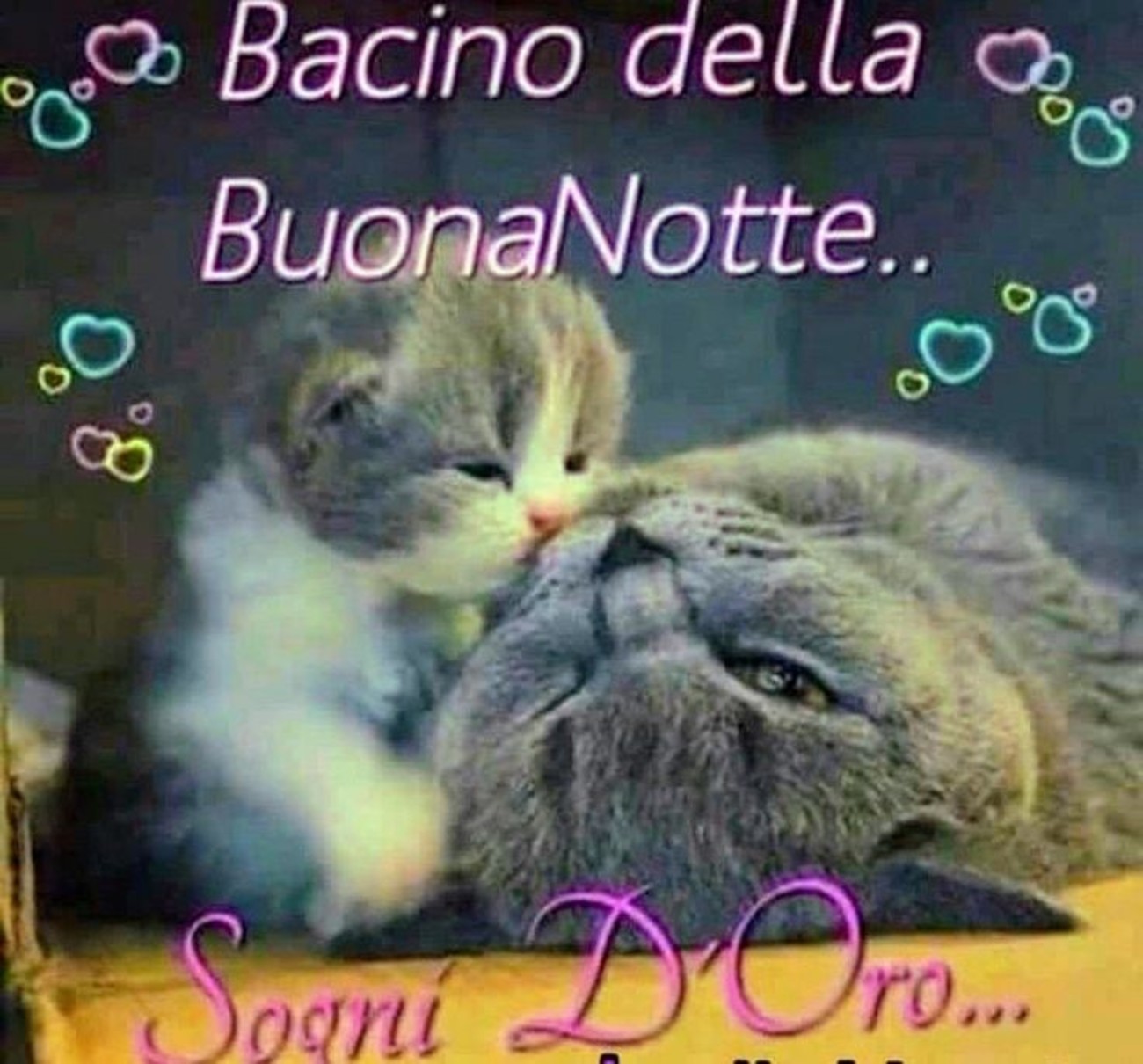 Buonanotte (26)