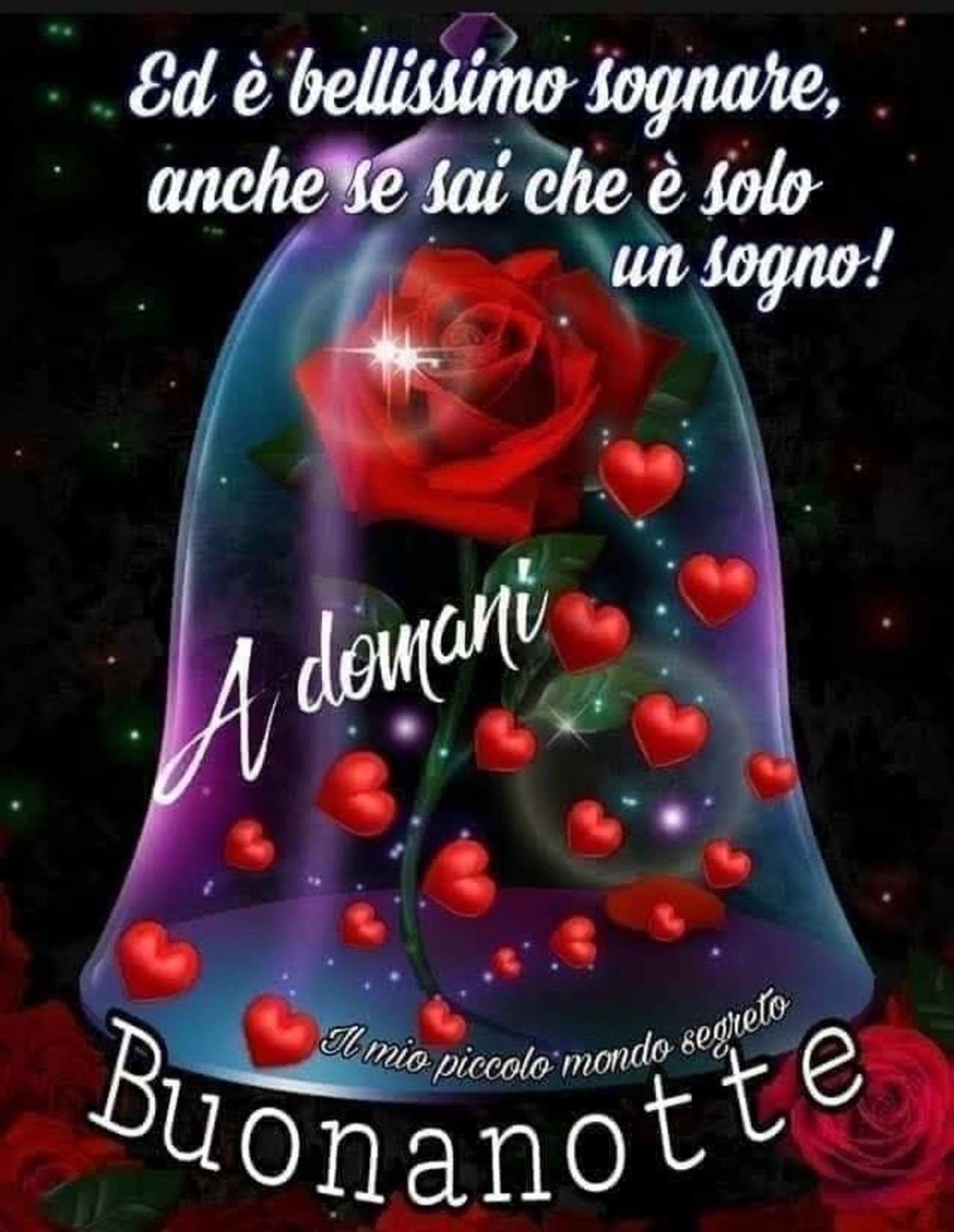 Buonanotte (27)