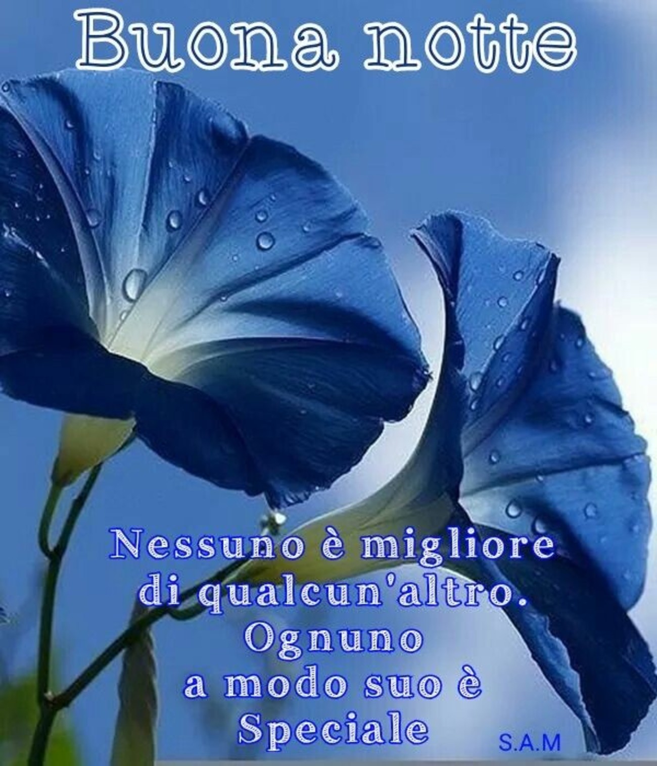 Buonanotte (32)
