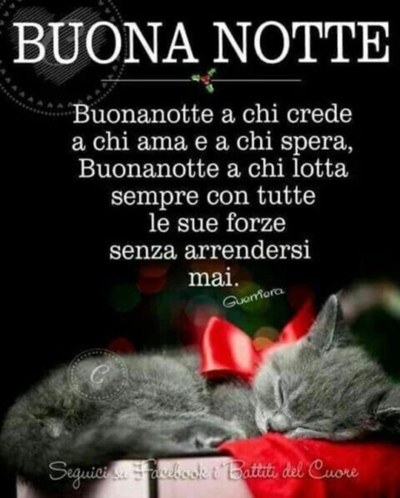 Buonanotte (35)