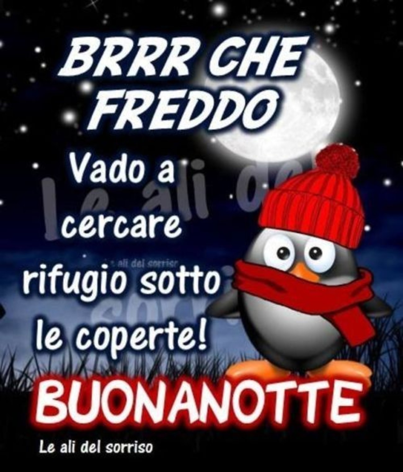 Buonanotte a domani (12)