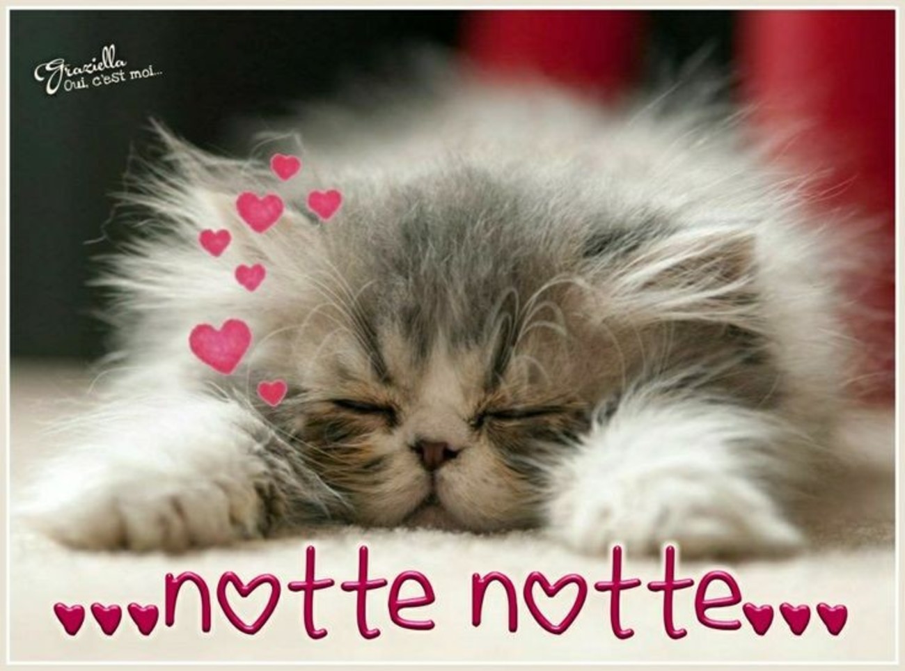 Buonanotte a domani (5)