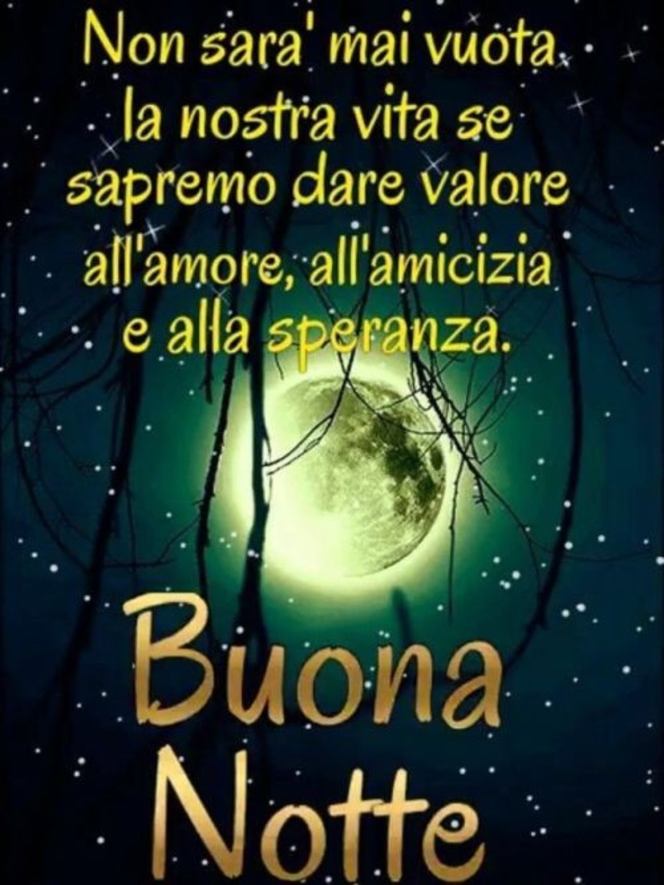 Buonanotte a domani (9)