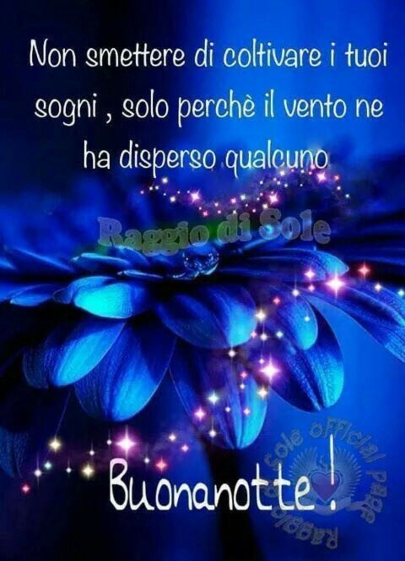 Buonanotte a te frasi (4)