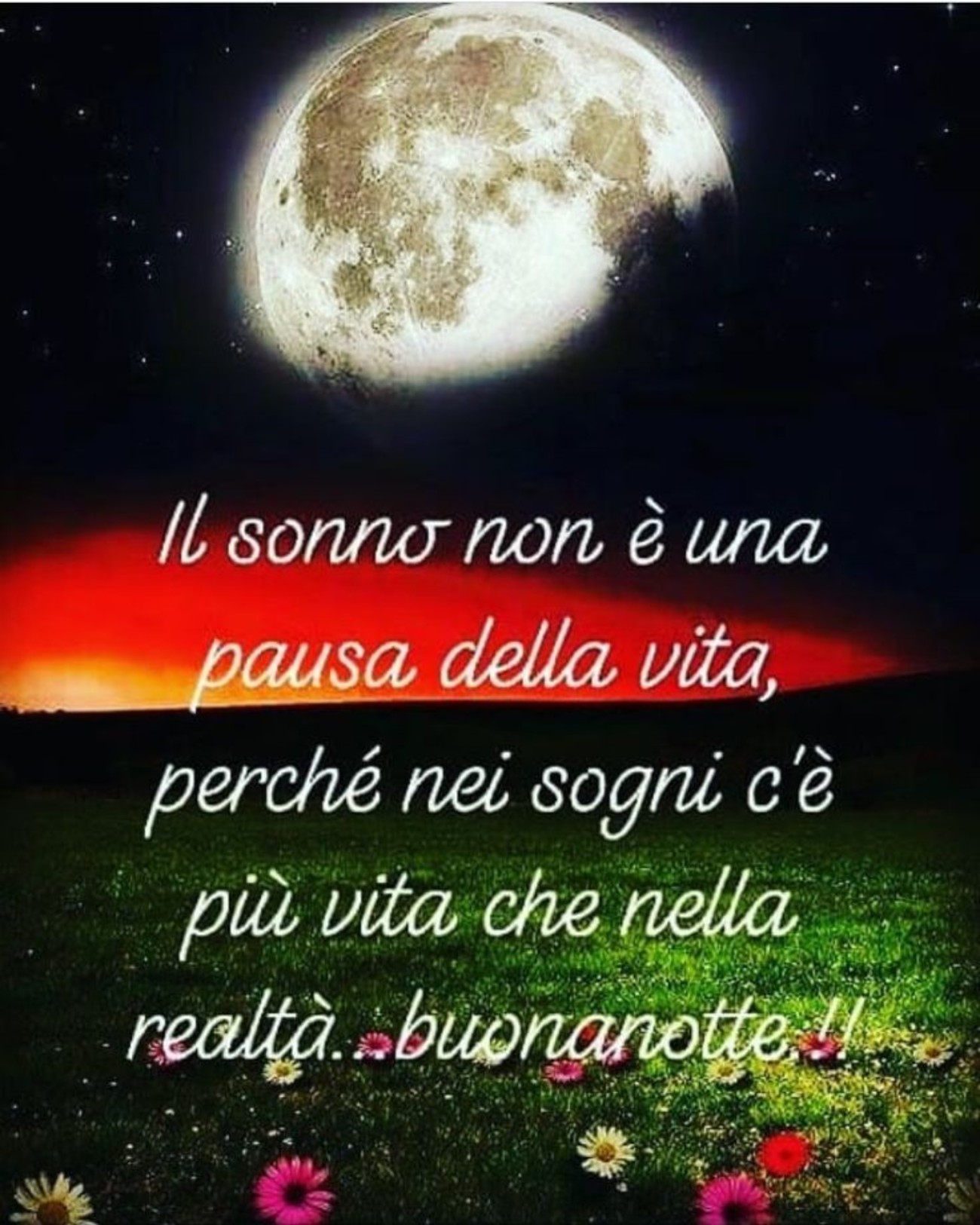 Buonanotte amici (11)