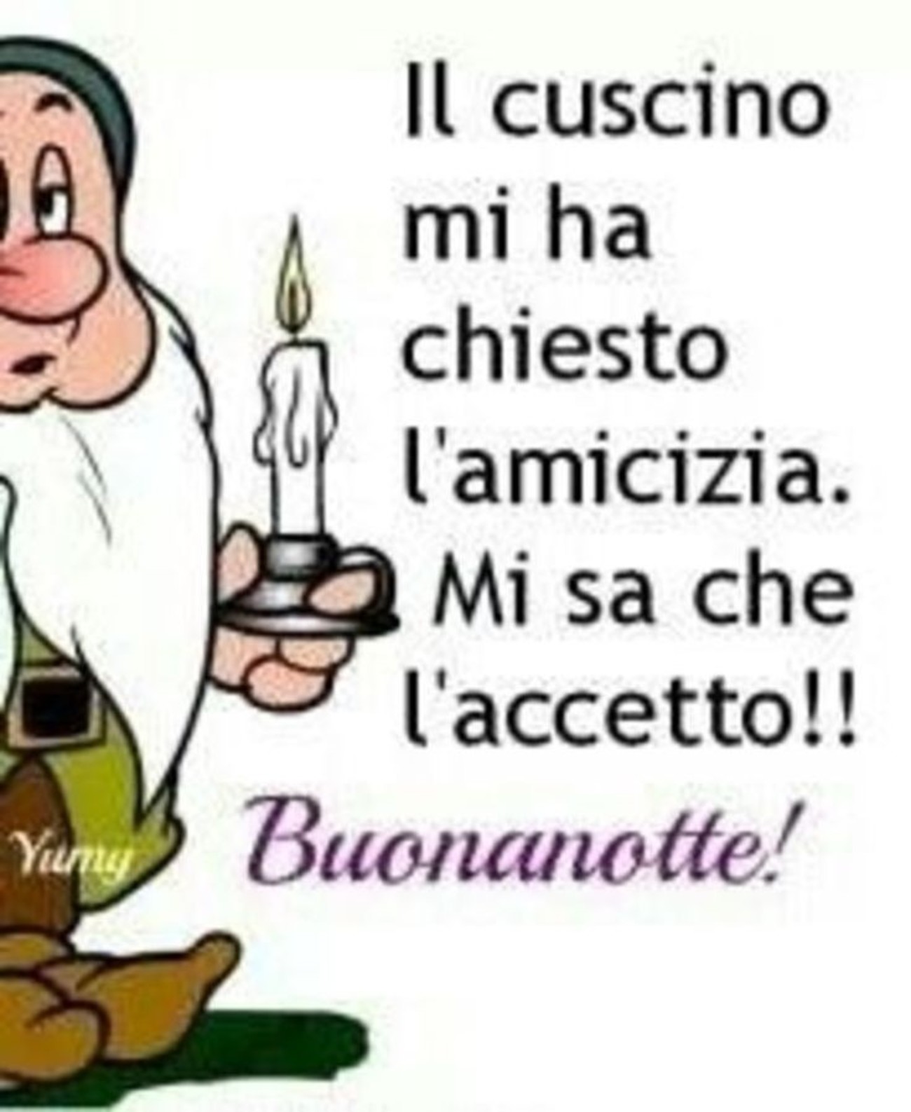 Buonanotte amici (4)