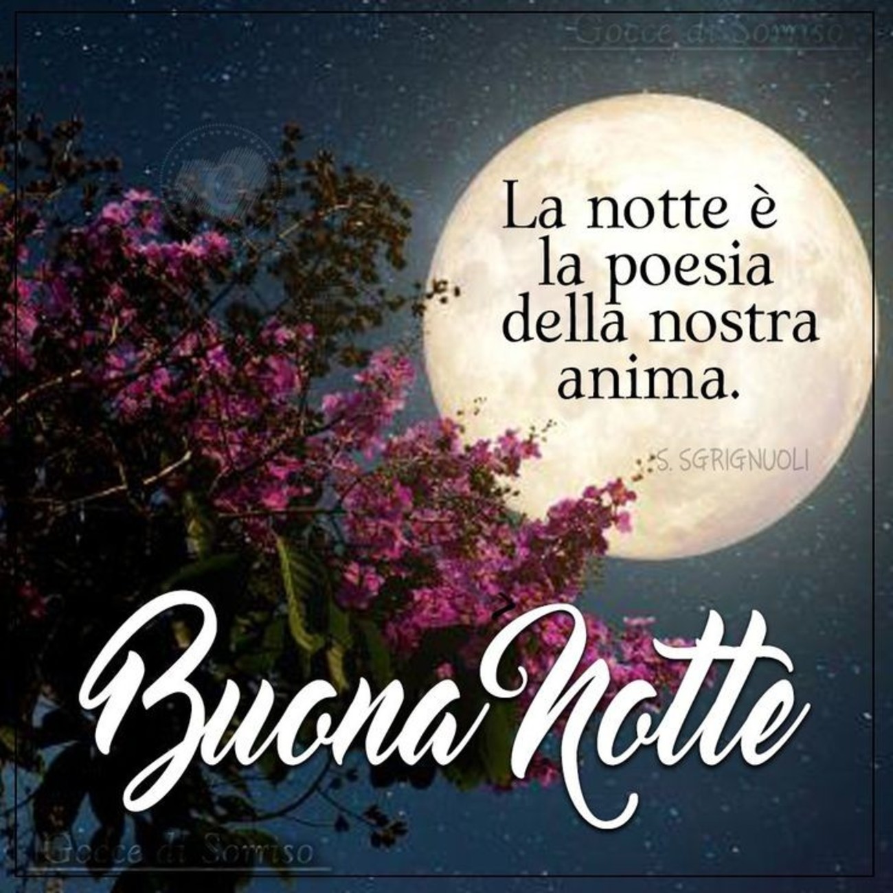 Buonanotte amici (7)