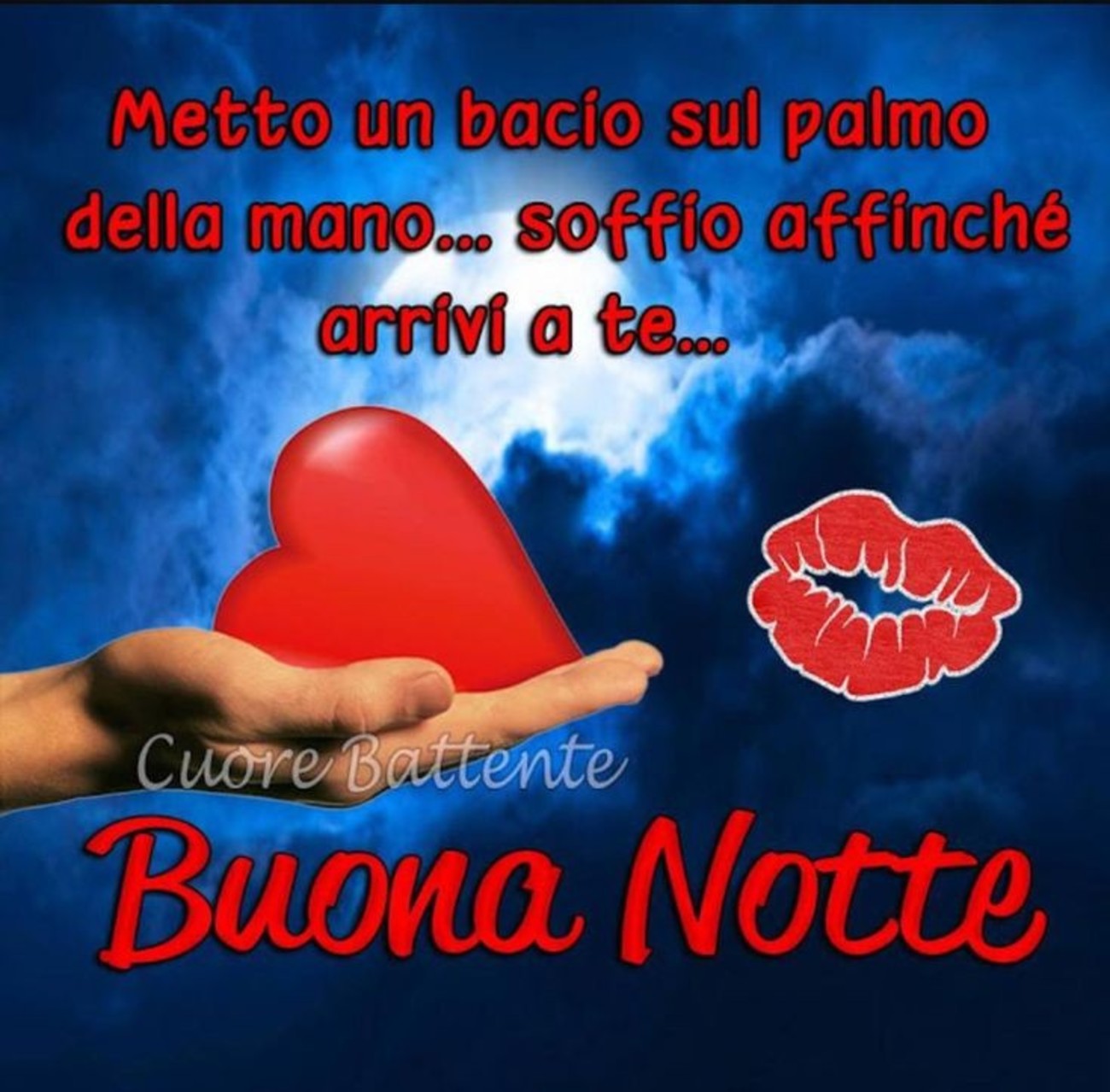 Buonanotte amici (8)