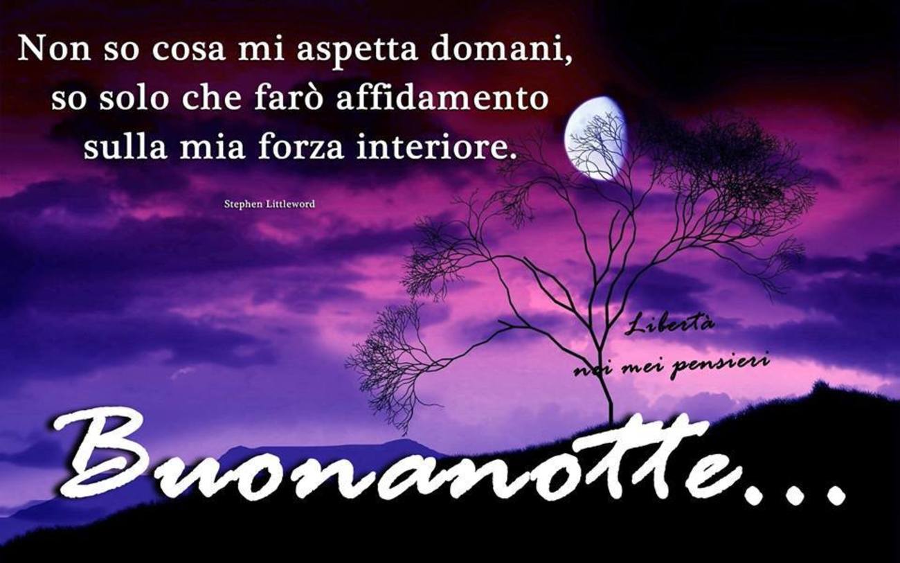 Buonanotte amici (9)