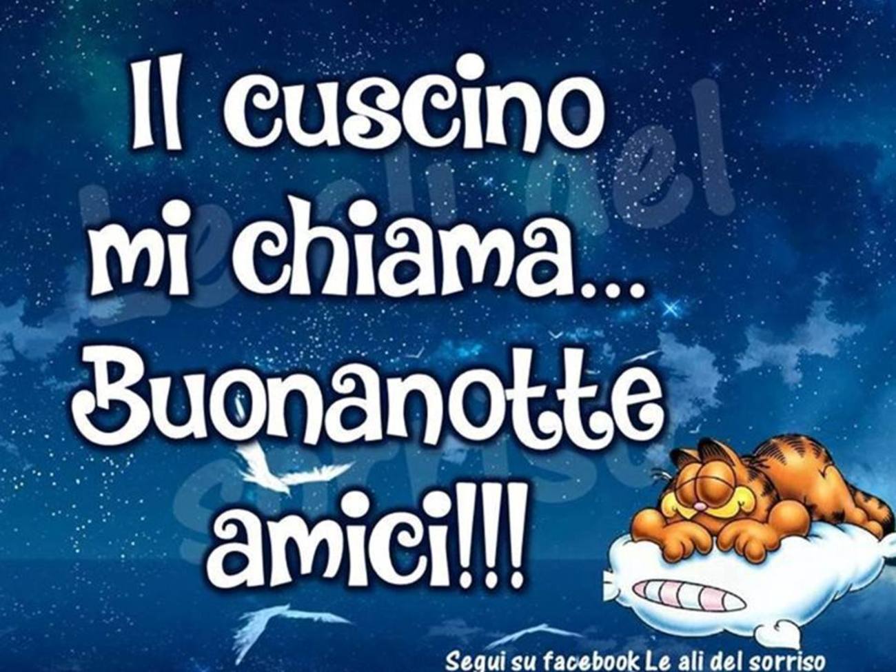 Buonanotte amici miei (2)