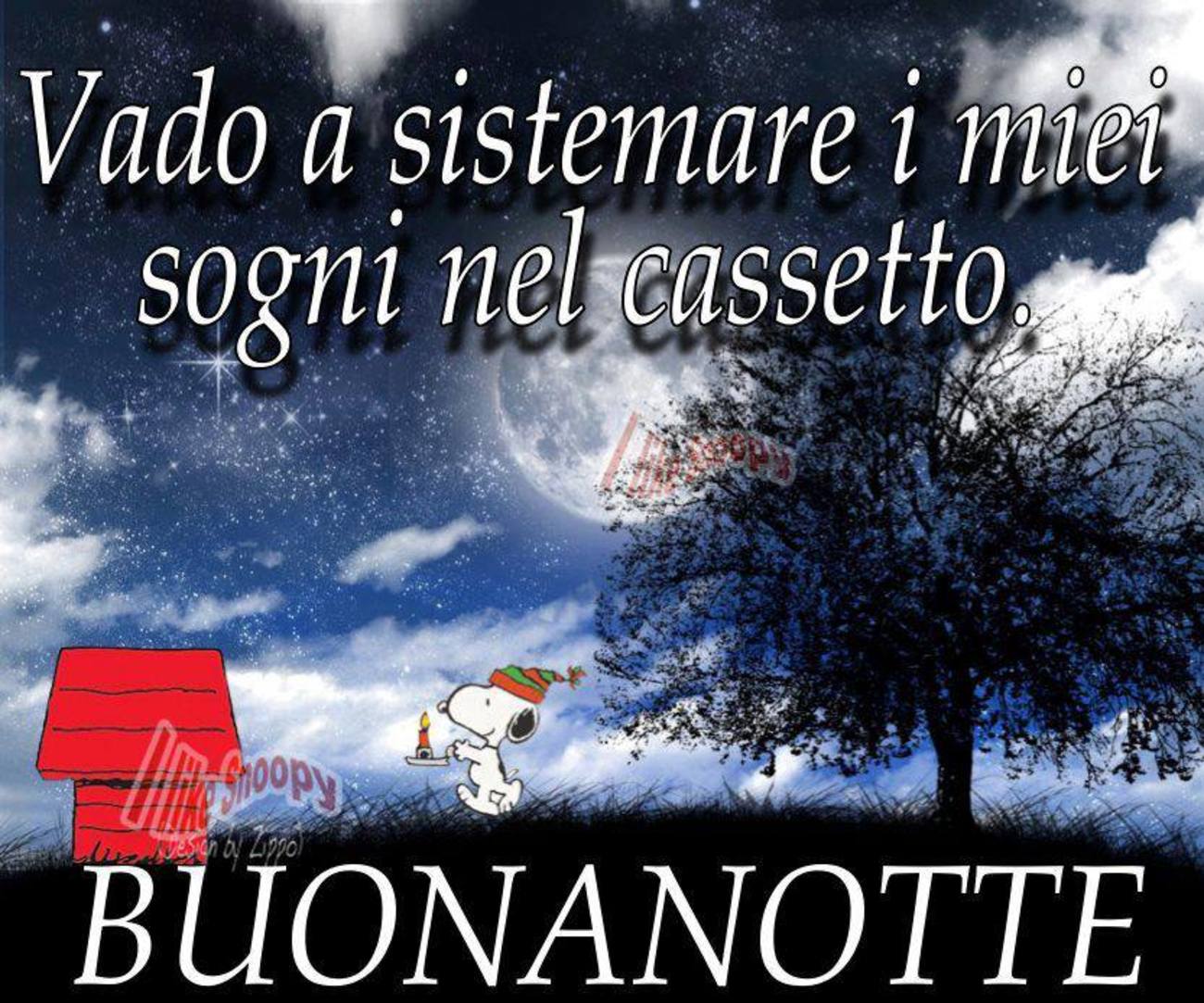 Buonanotte amici miei (6)