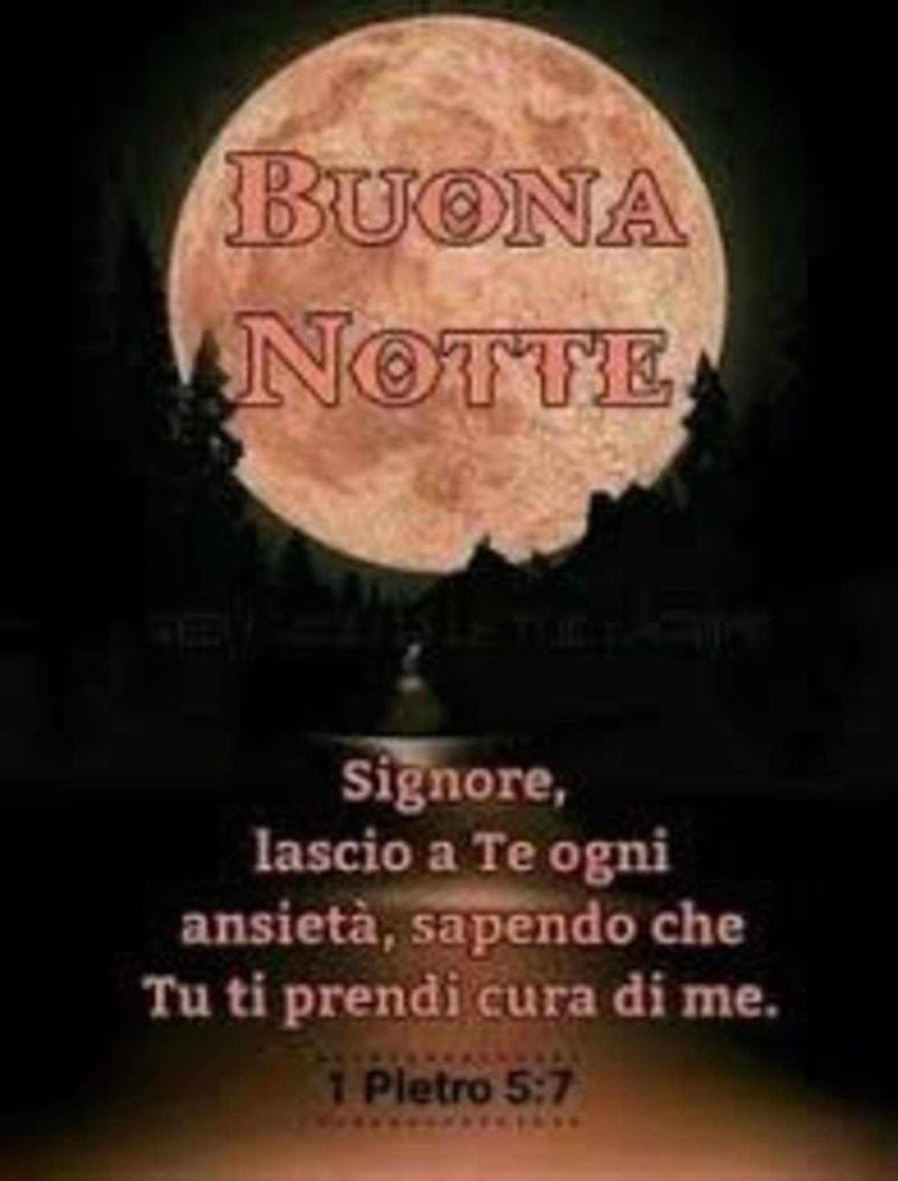 Buonanotte bella gente (2)