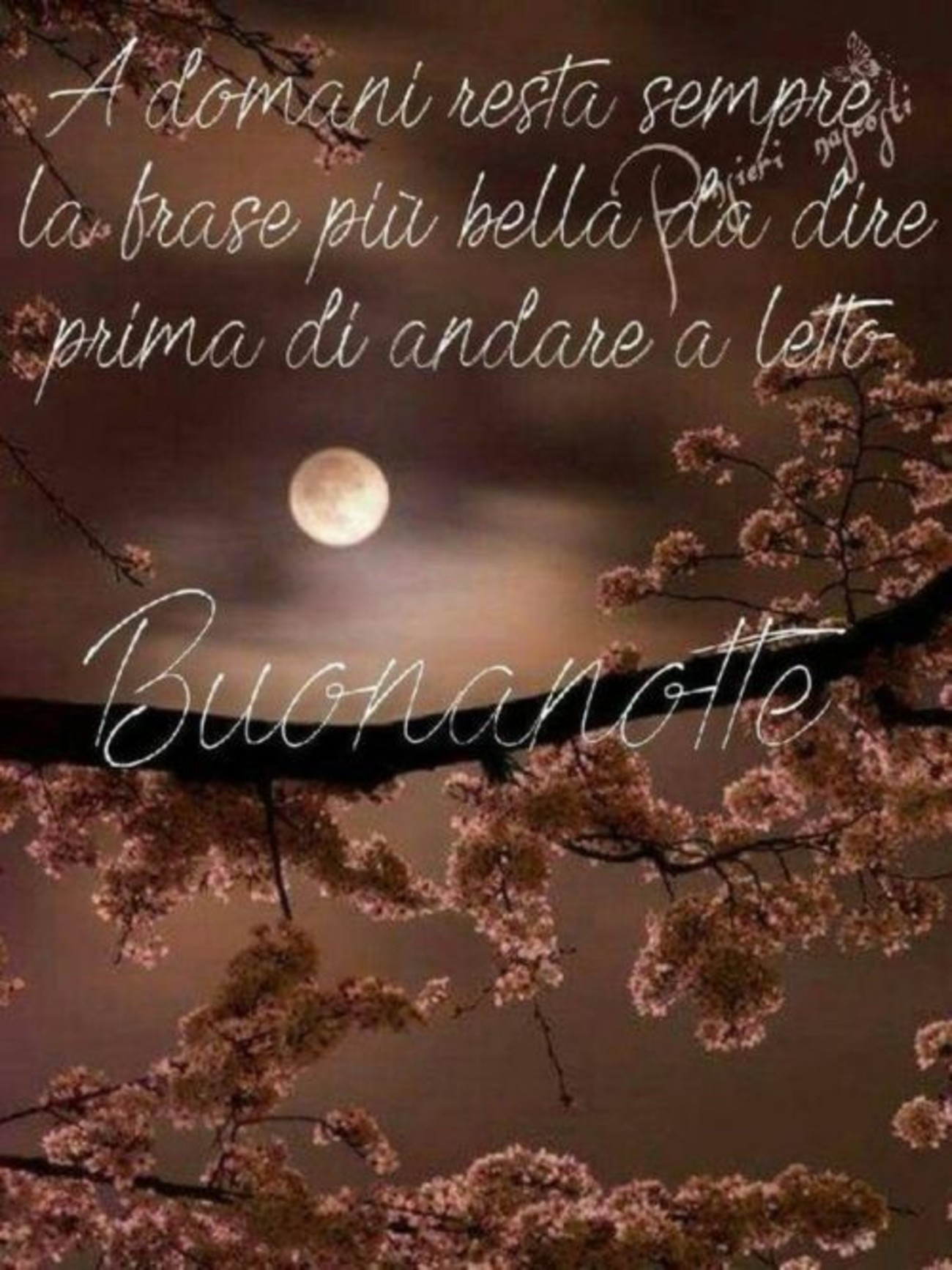 Buonanotte bella gente (4)