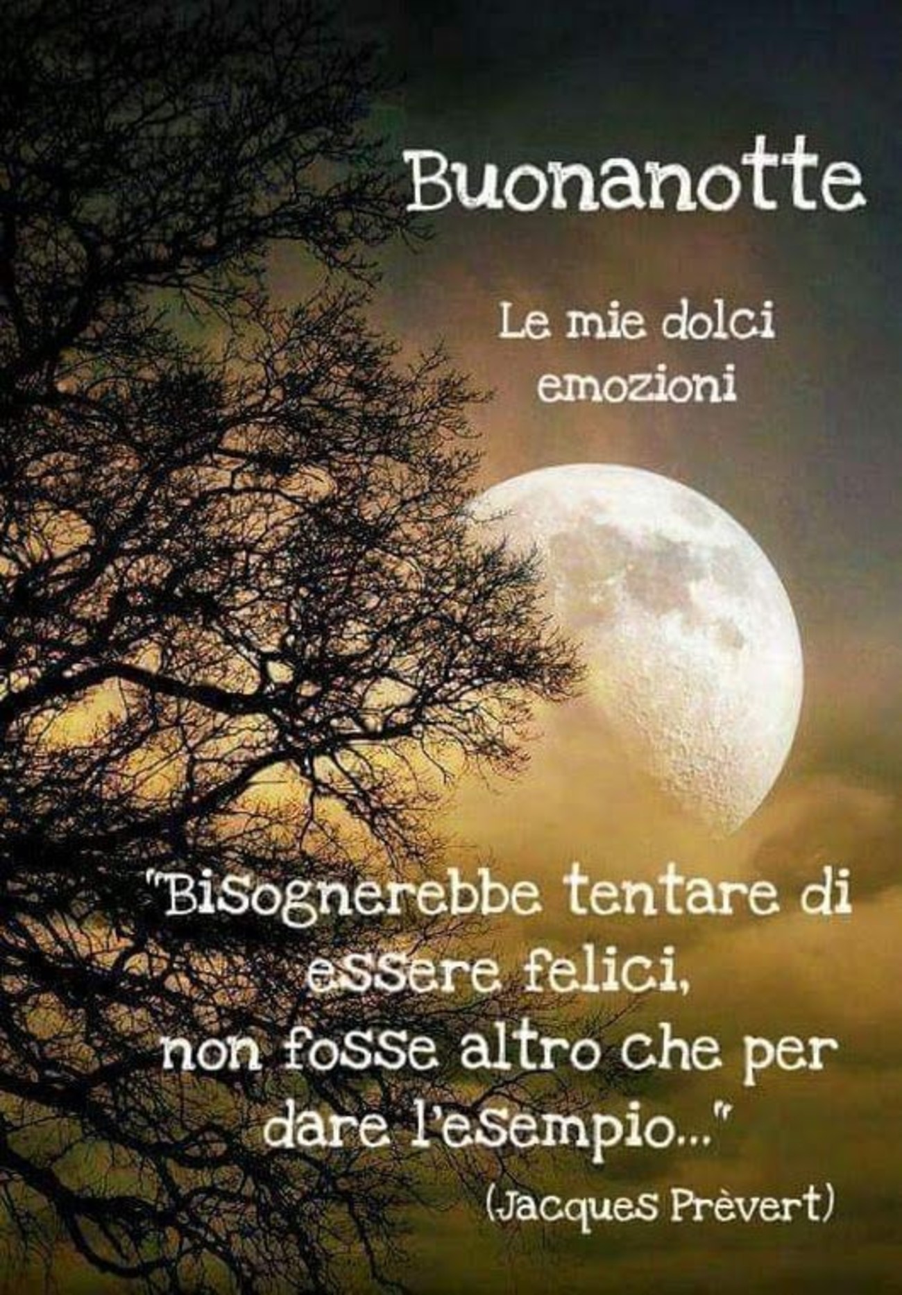 Buonanotte bella gente (6)