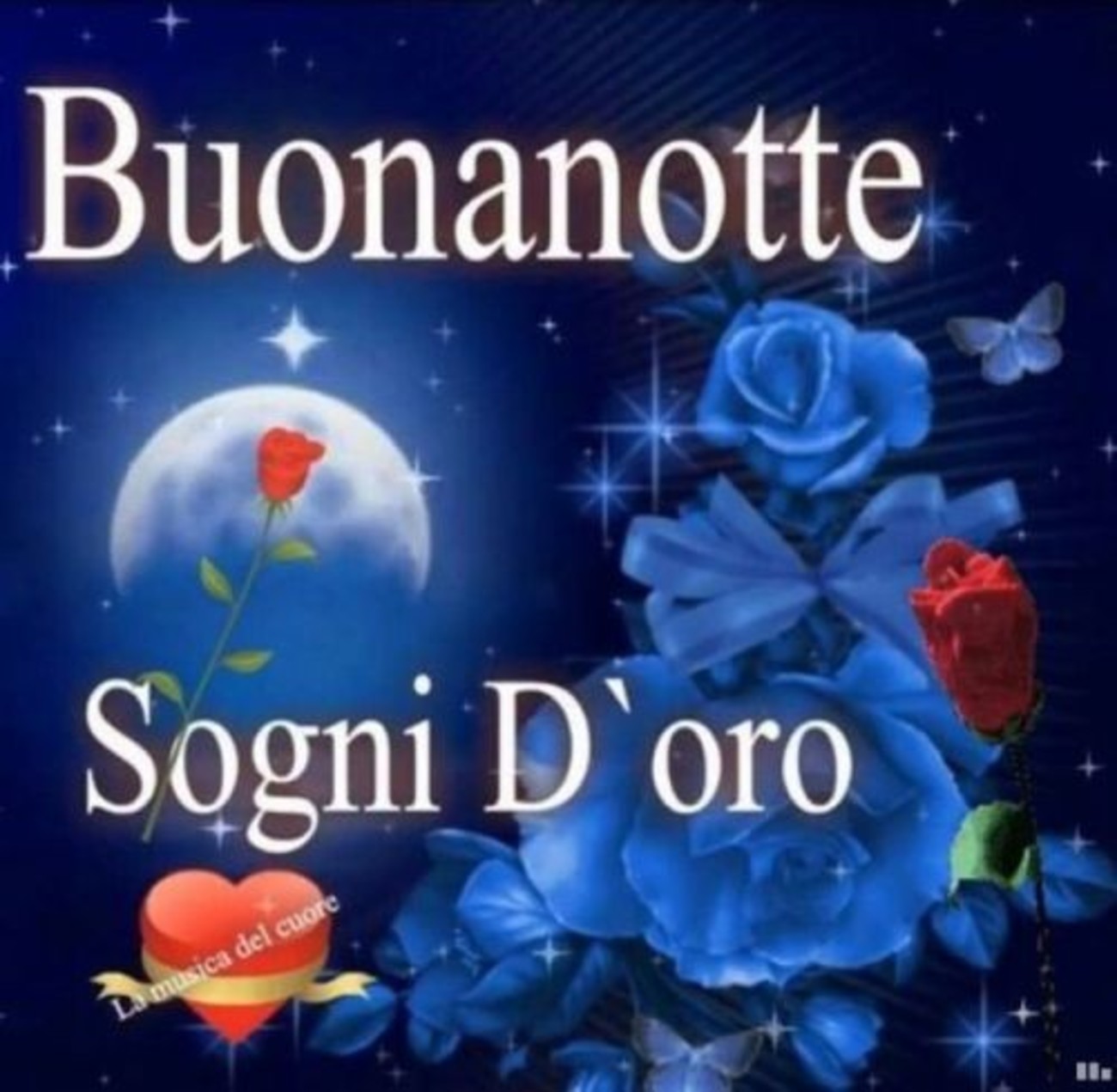 Buonanotte bella gente (9)