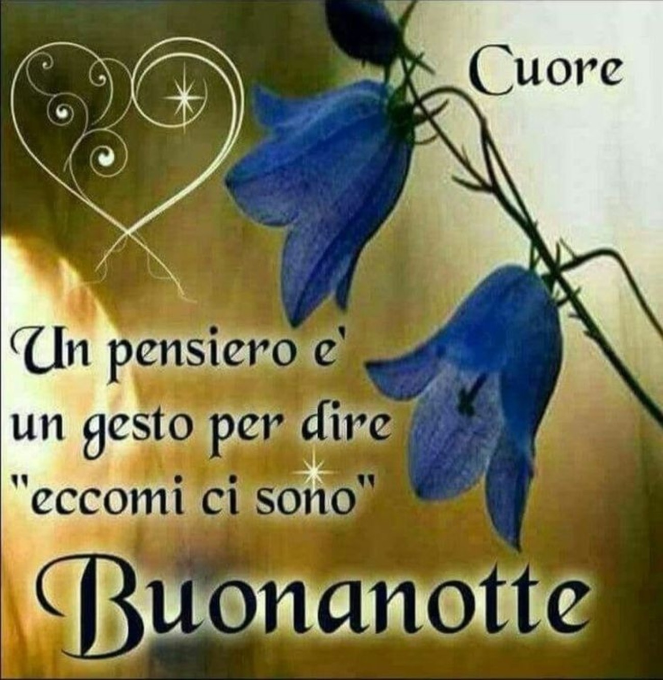 Buonanotte belle frasi nuove (5)