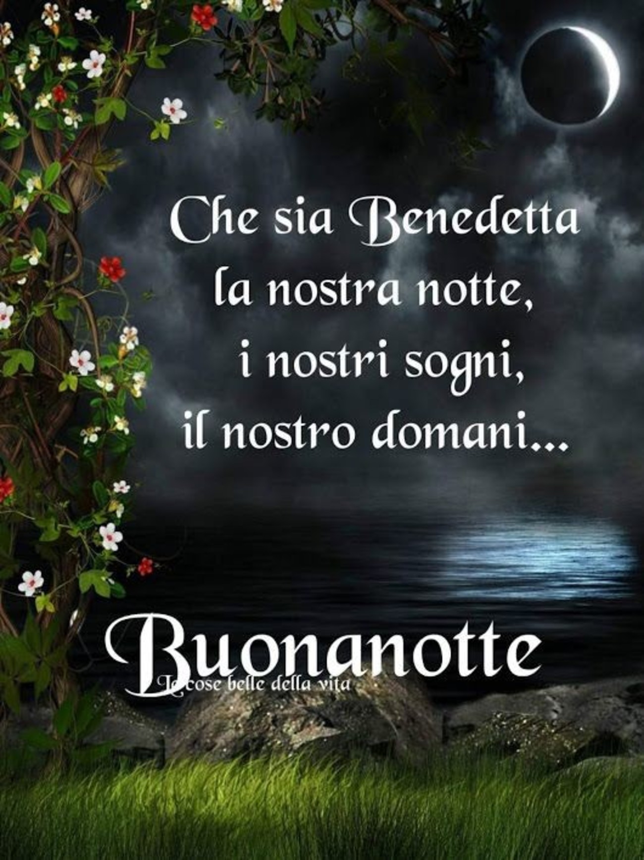 Buonanotte belle immagini nuove (7)