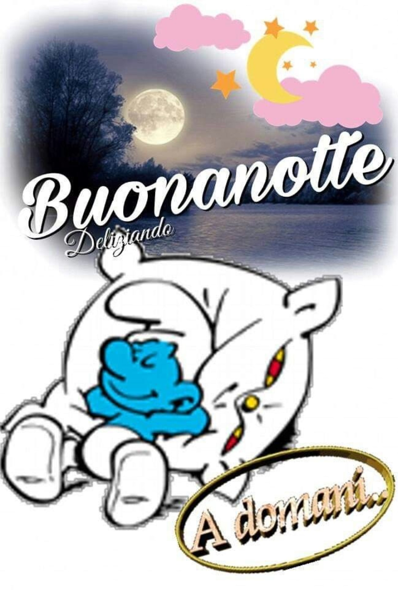 Buonanotte buona serata (4)