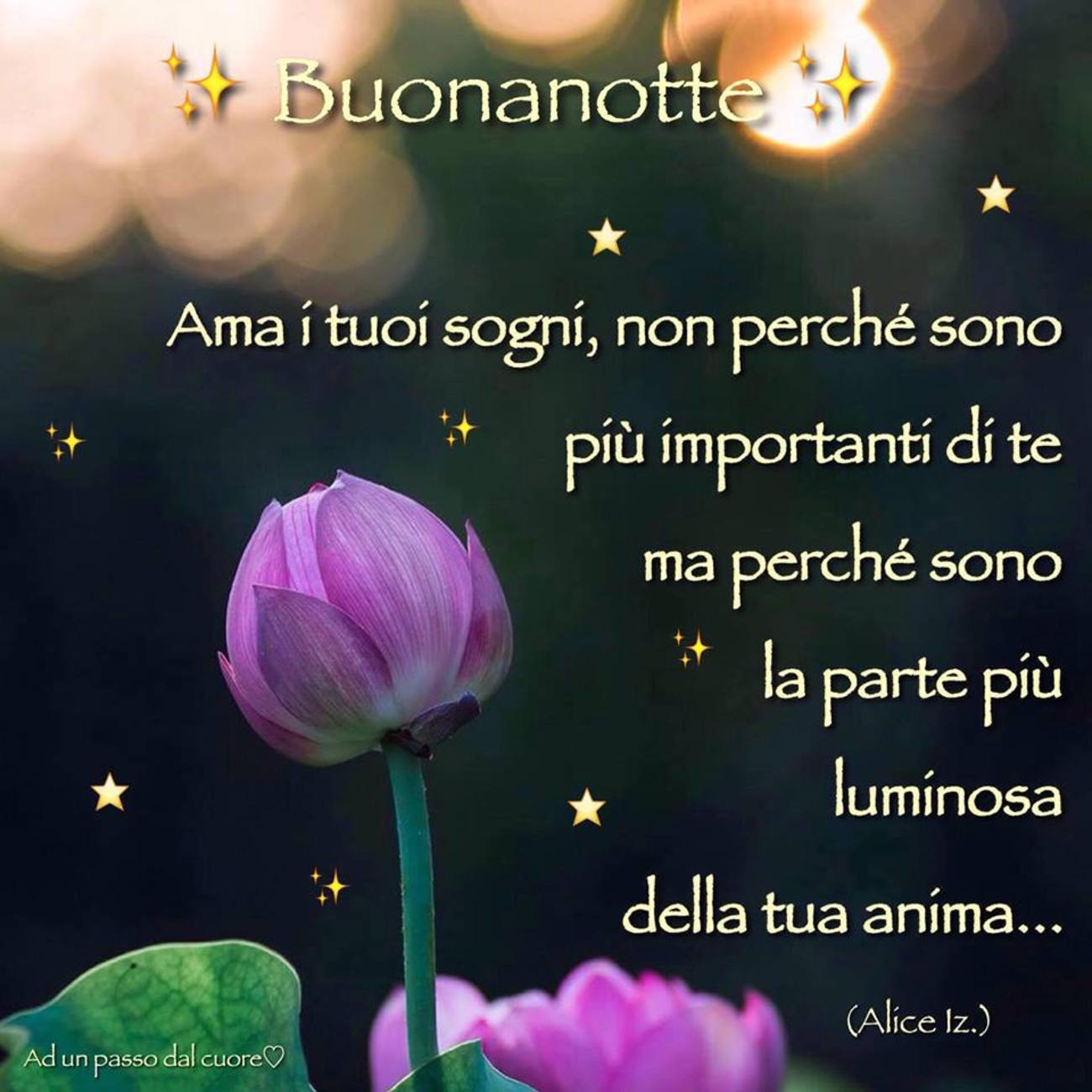 Buonanotte buona serata (6)