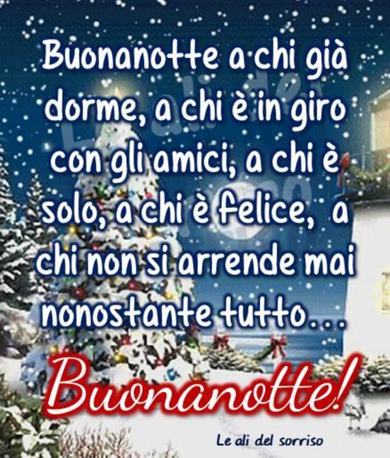 Buonanotte buona serata (9)