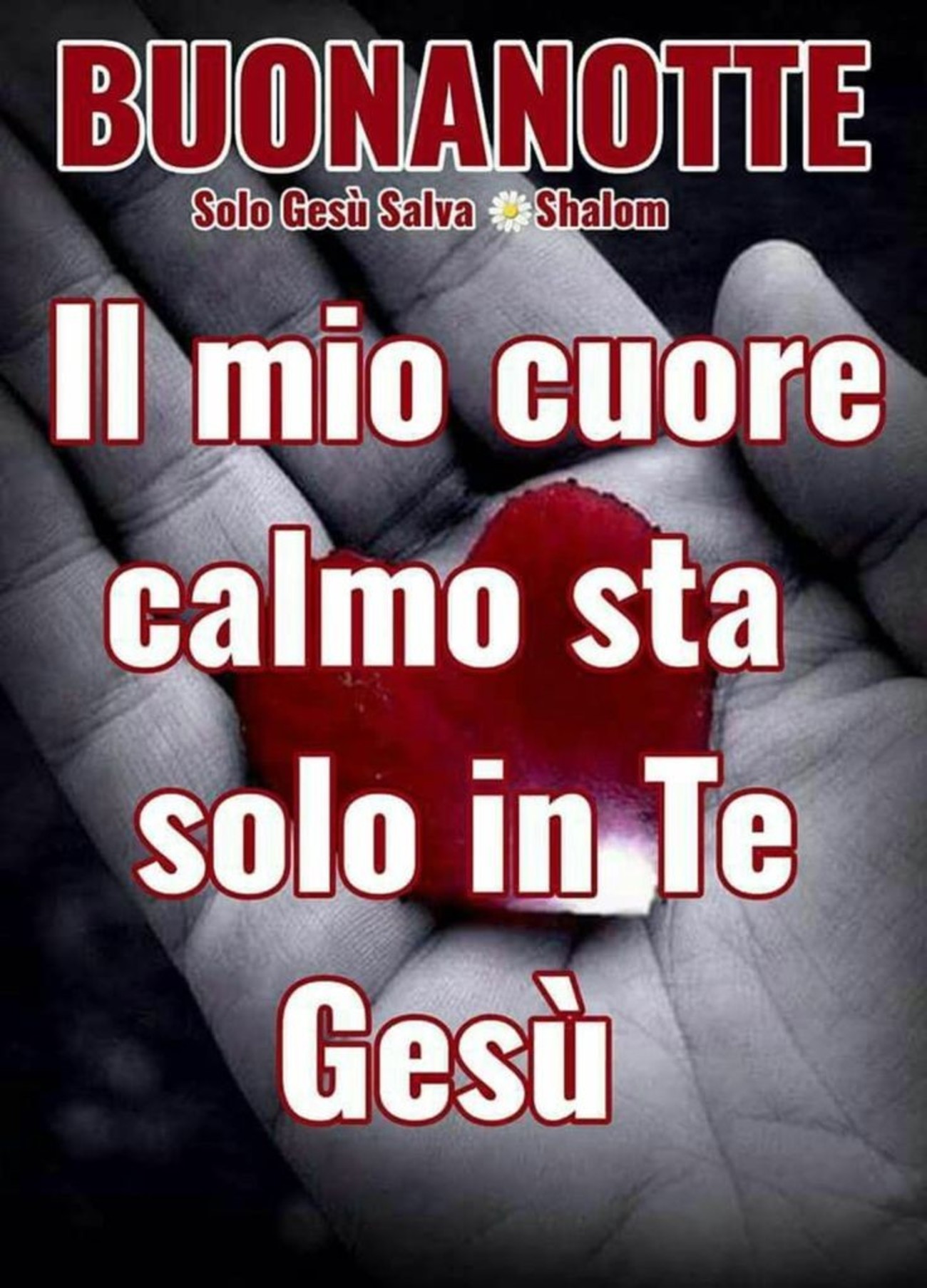 Buonanotte con Gesù (3)
