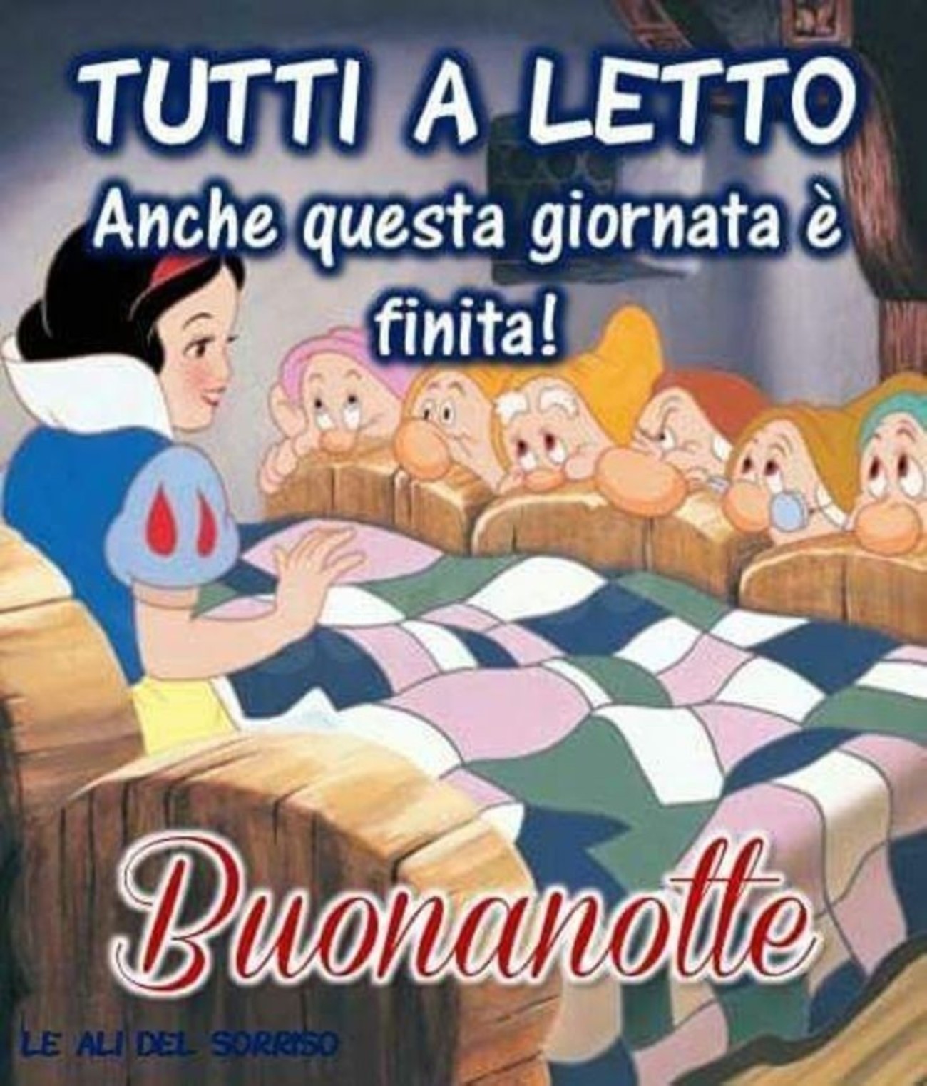 Buonanotte con affetto amici (11)