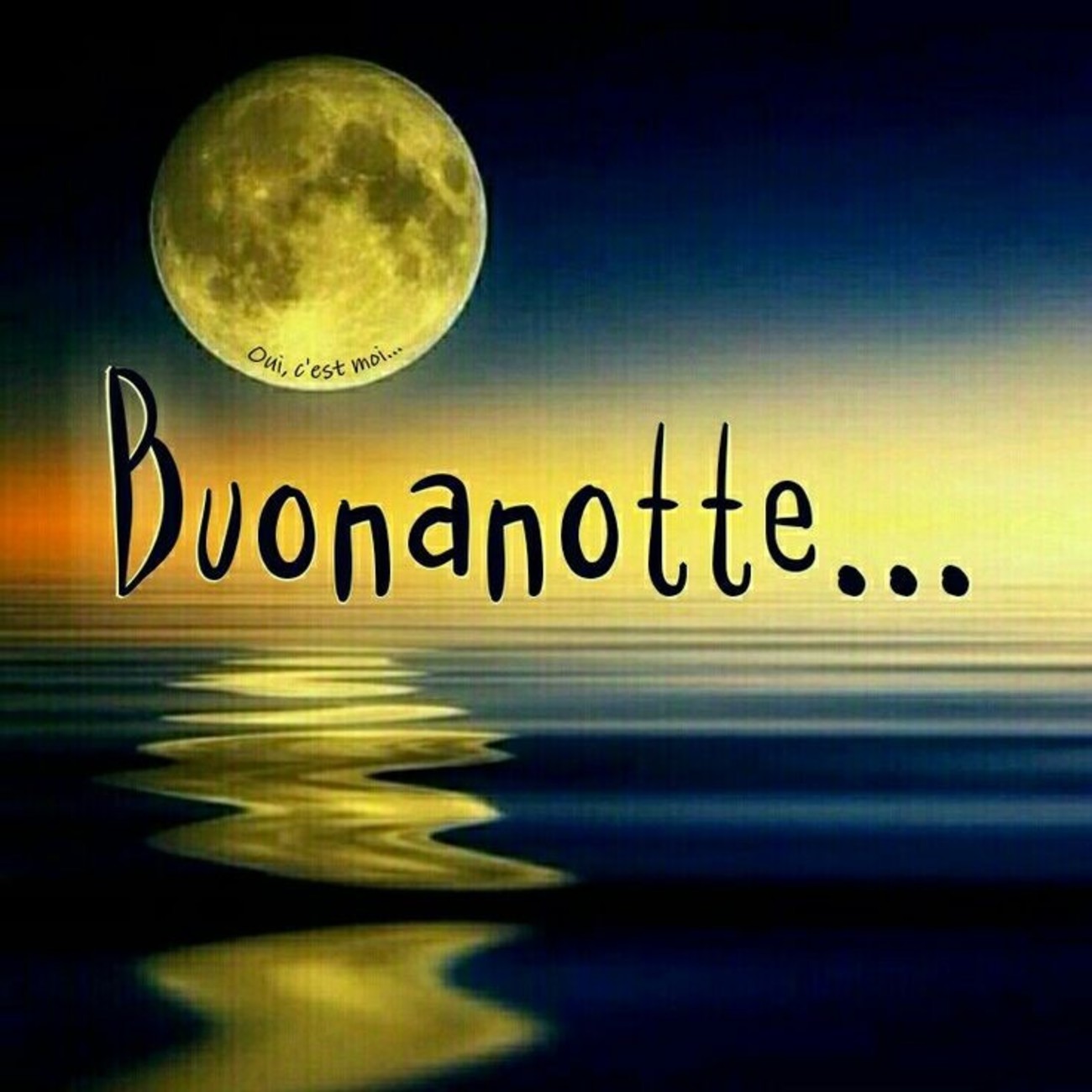 Buonanotte con affetto amici (4)