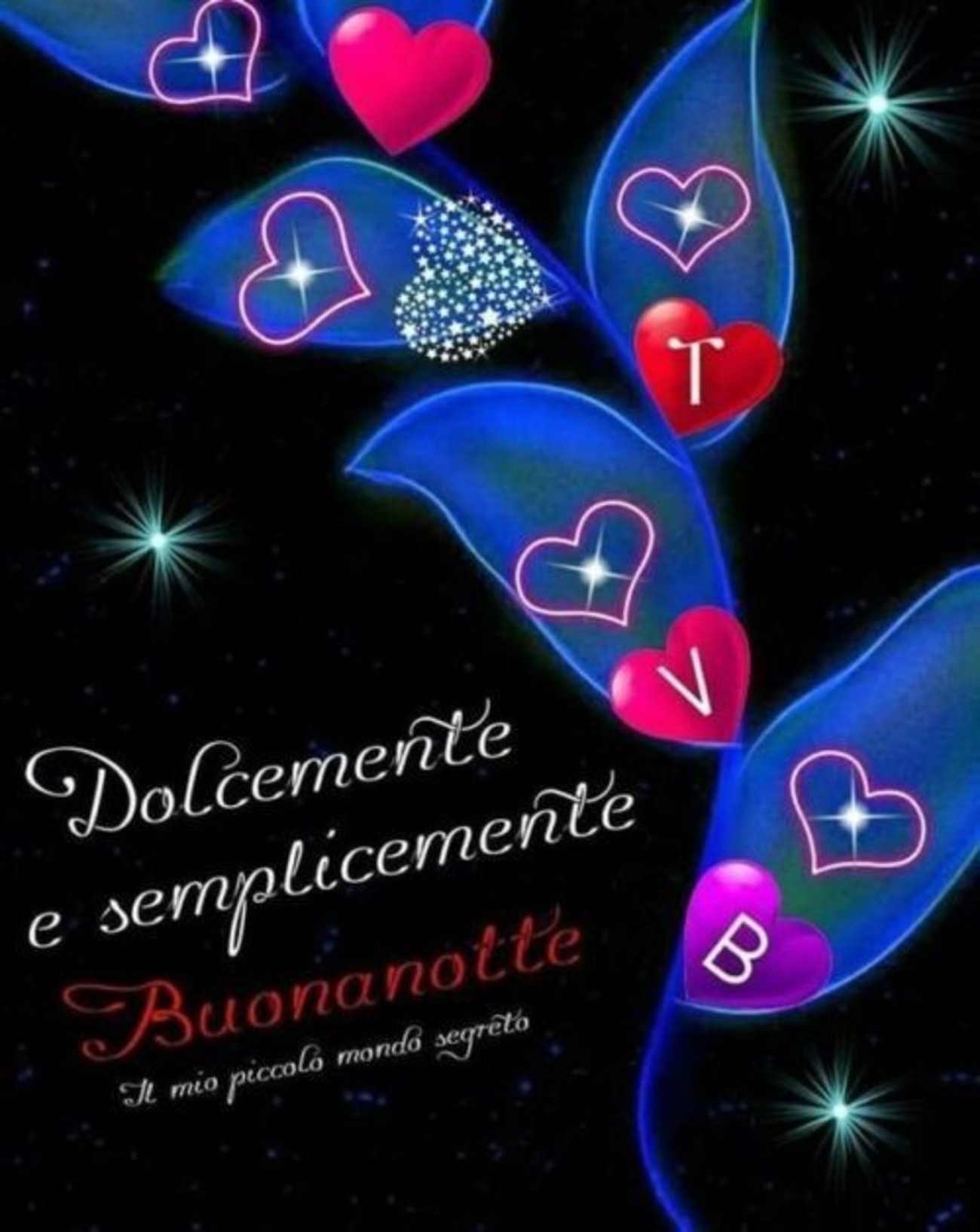 Buonanotte con affetto amici (5)