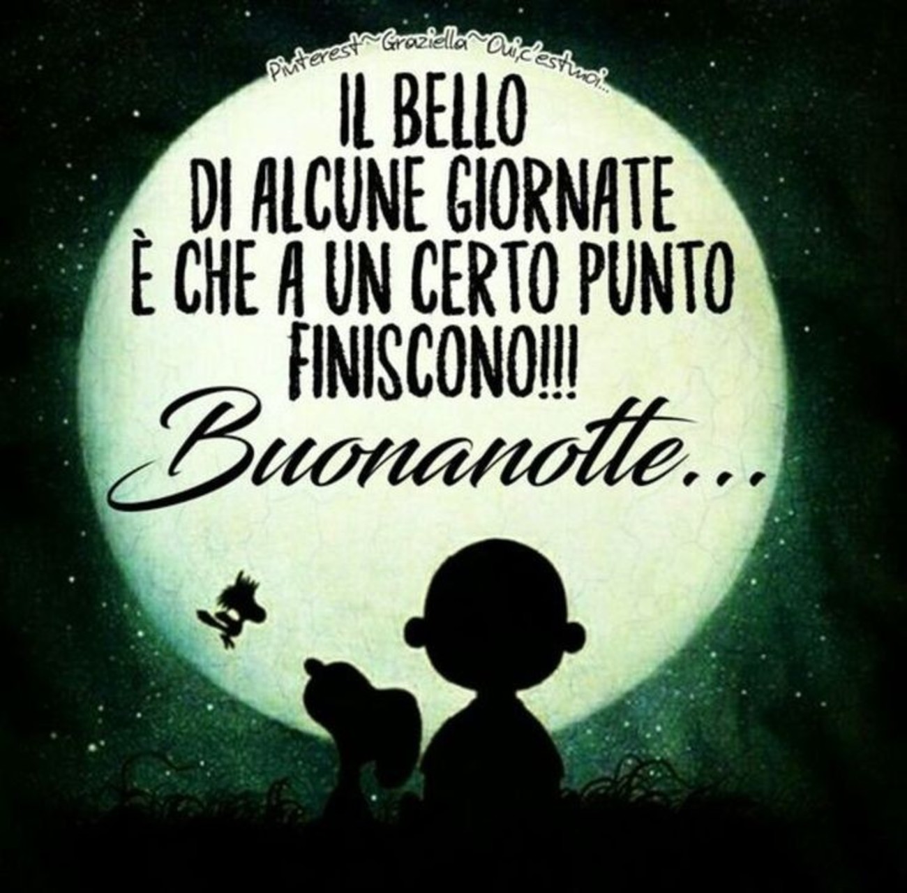 Buonanotte con affetto amici (8)