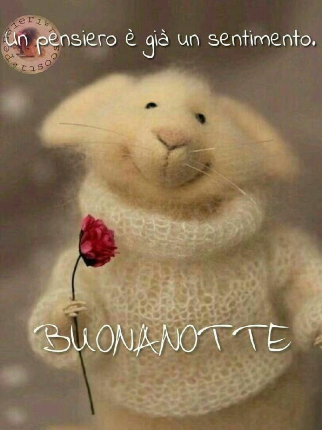 Buonanotte con amore (3)