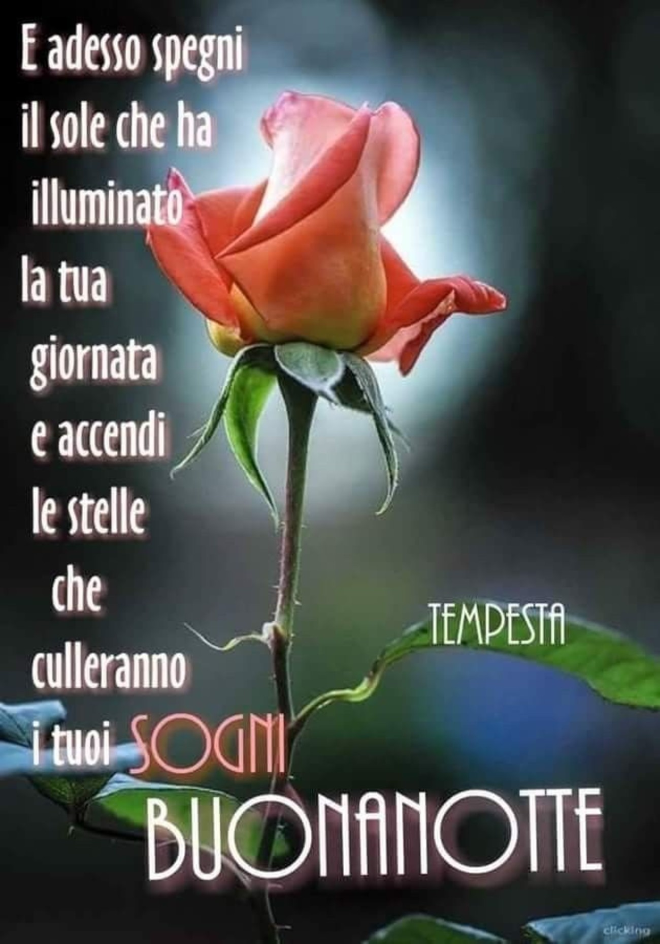 Buonanotte con amore (4)