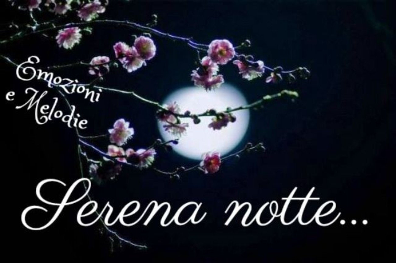 Buonanotte con amore (8)