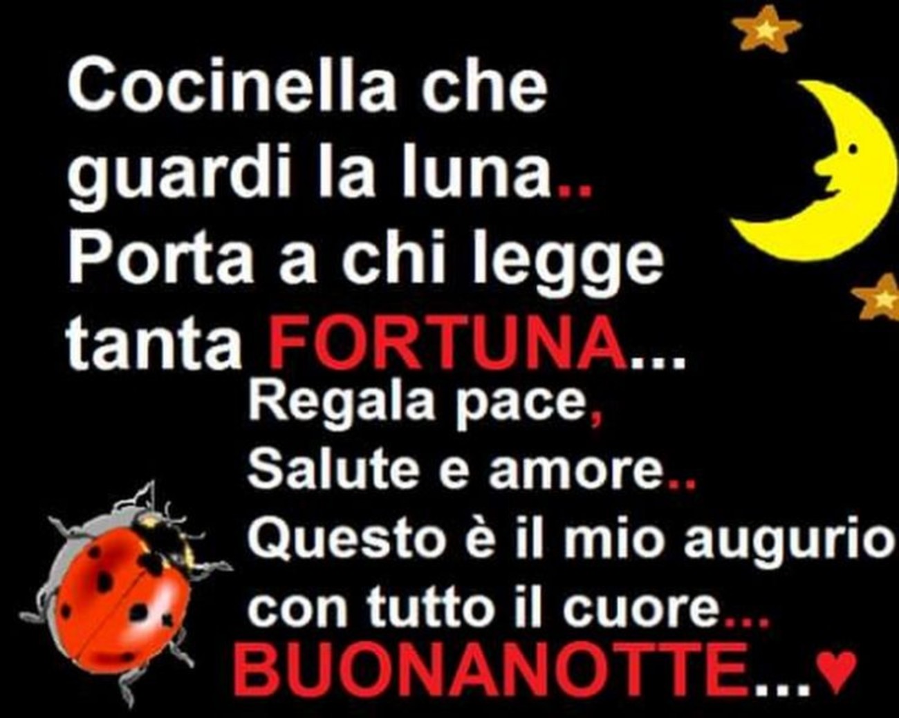 Buonanotte con la luna (4)