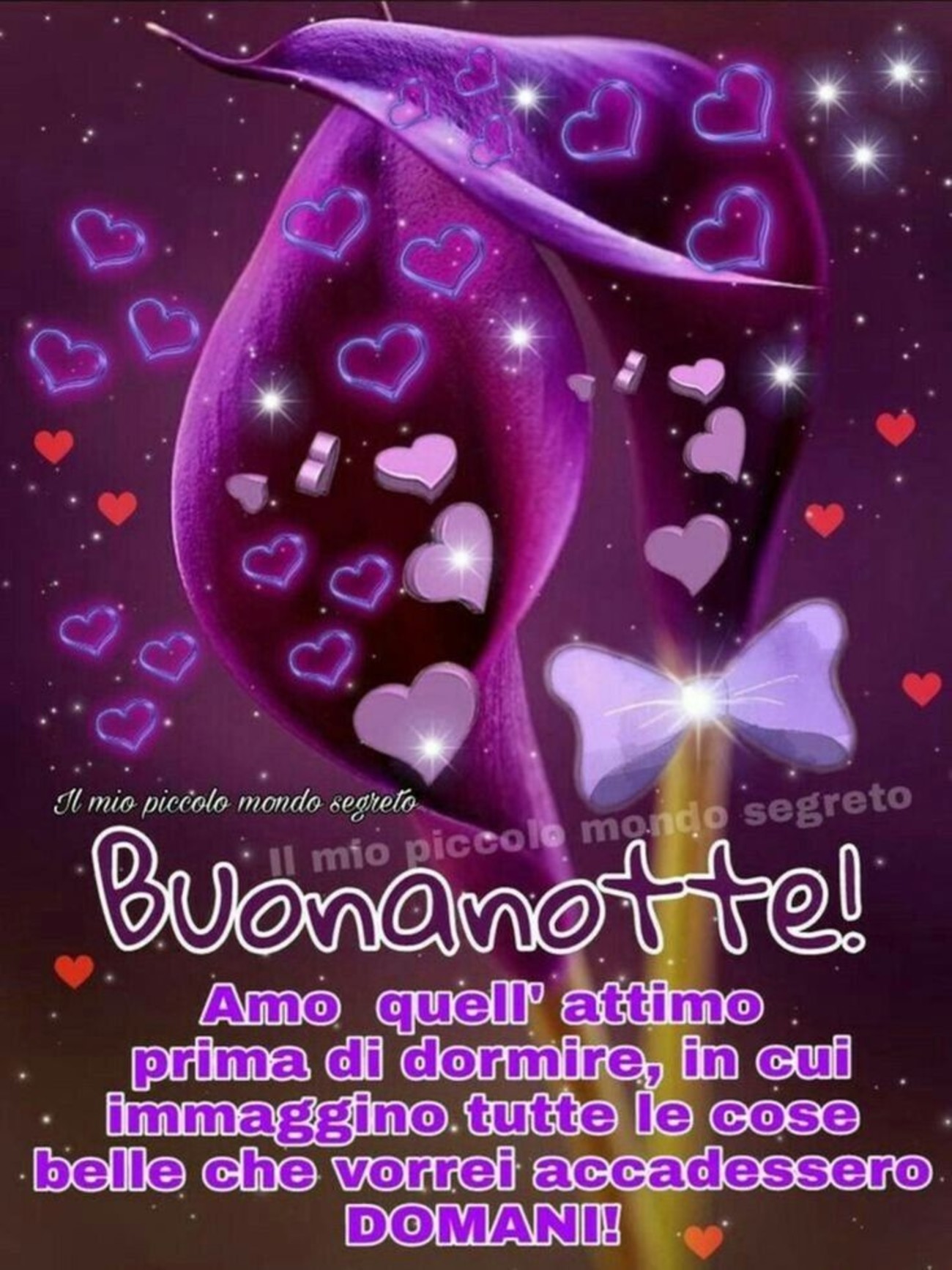 Buonanotte d'amore (1)