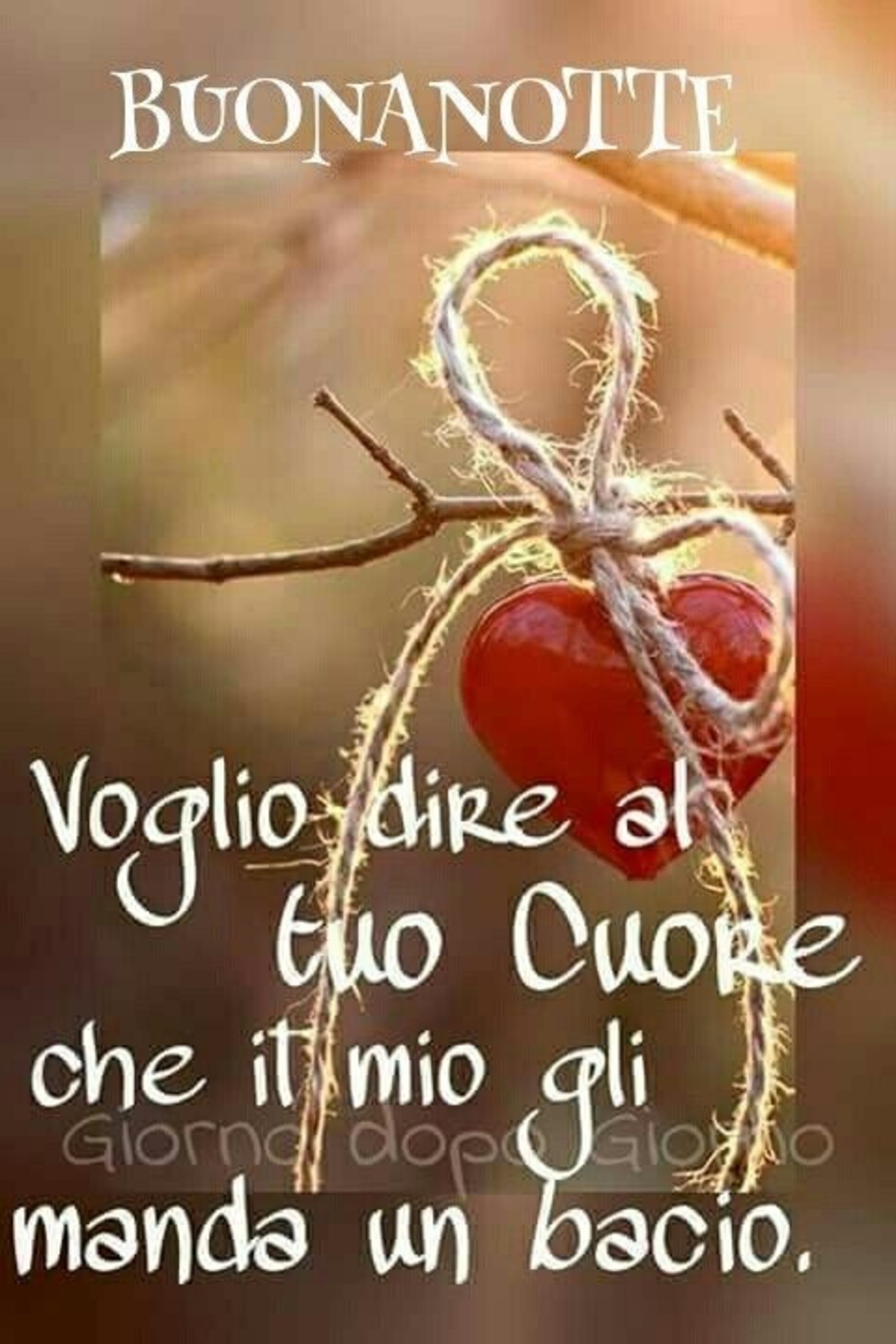 Buonanotte d'amore (2)