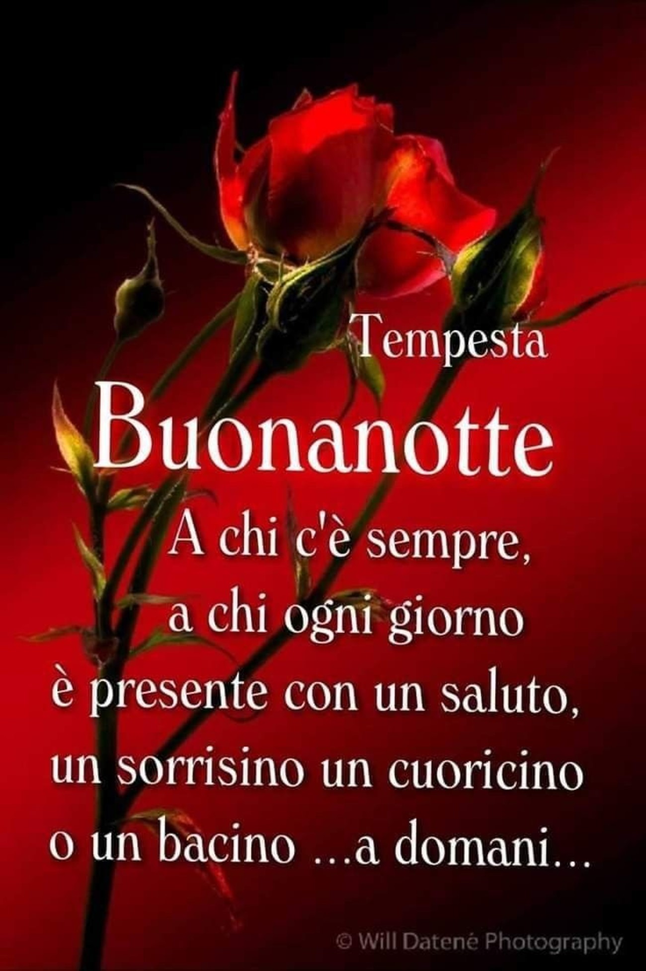 Buonanotte d'amore (6)