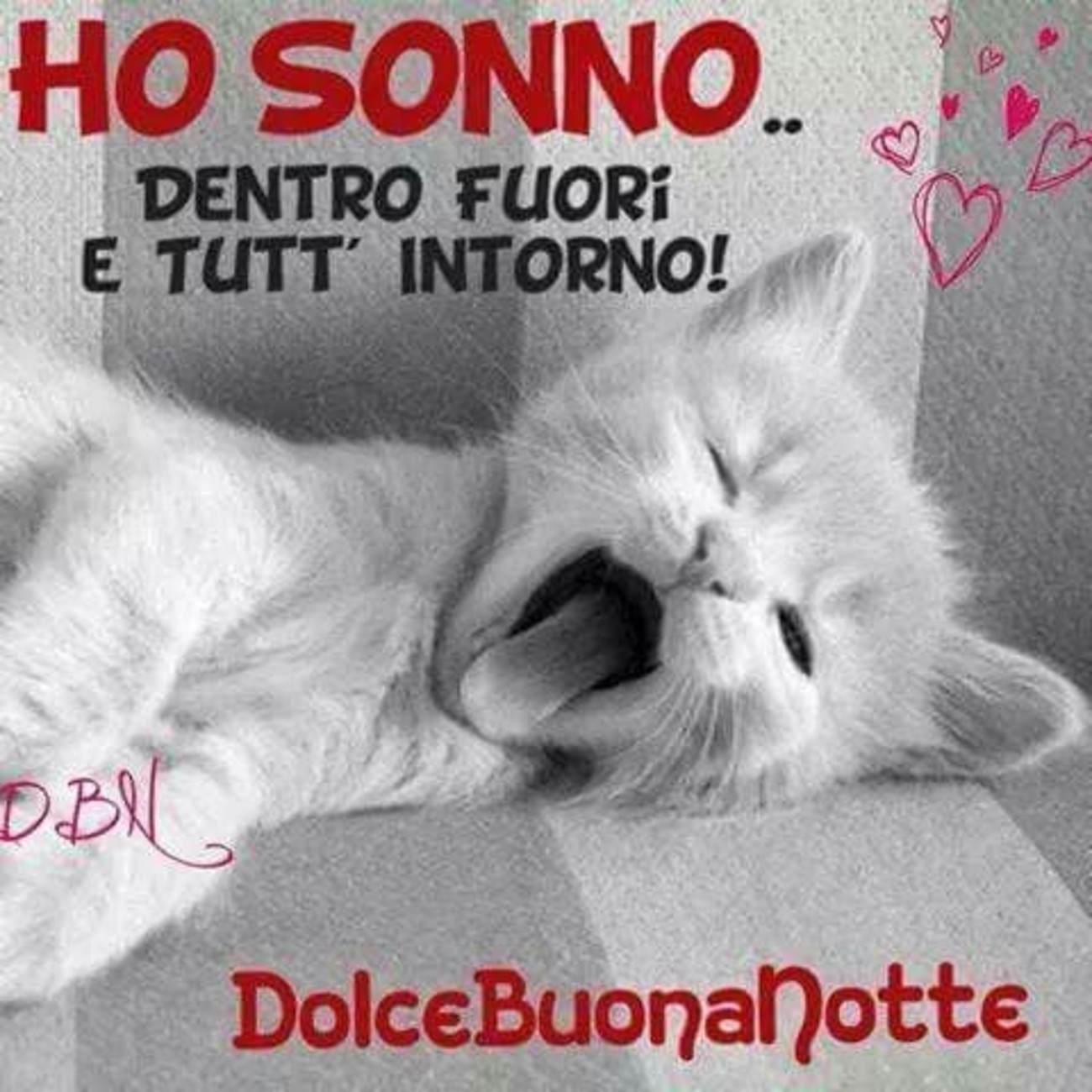 Buonanotte divertente (1)