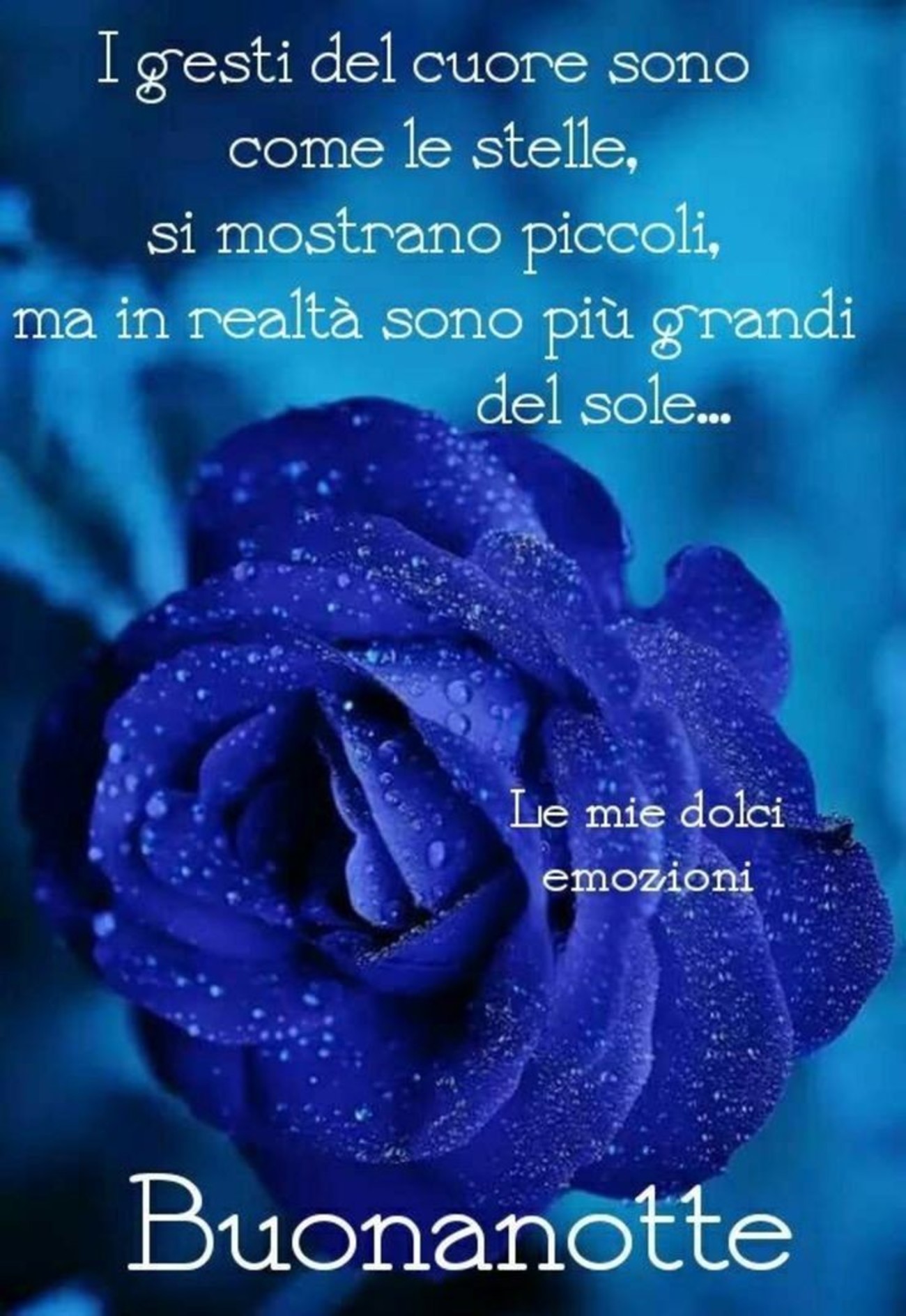 Buonanotte dolce (12)