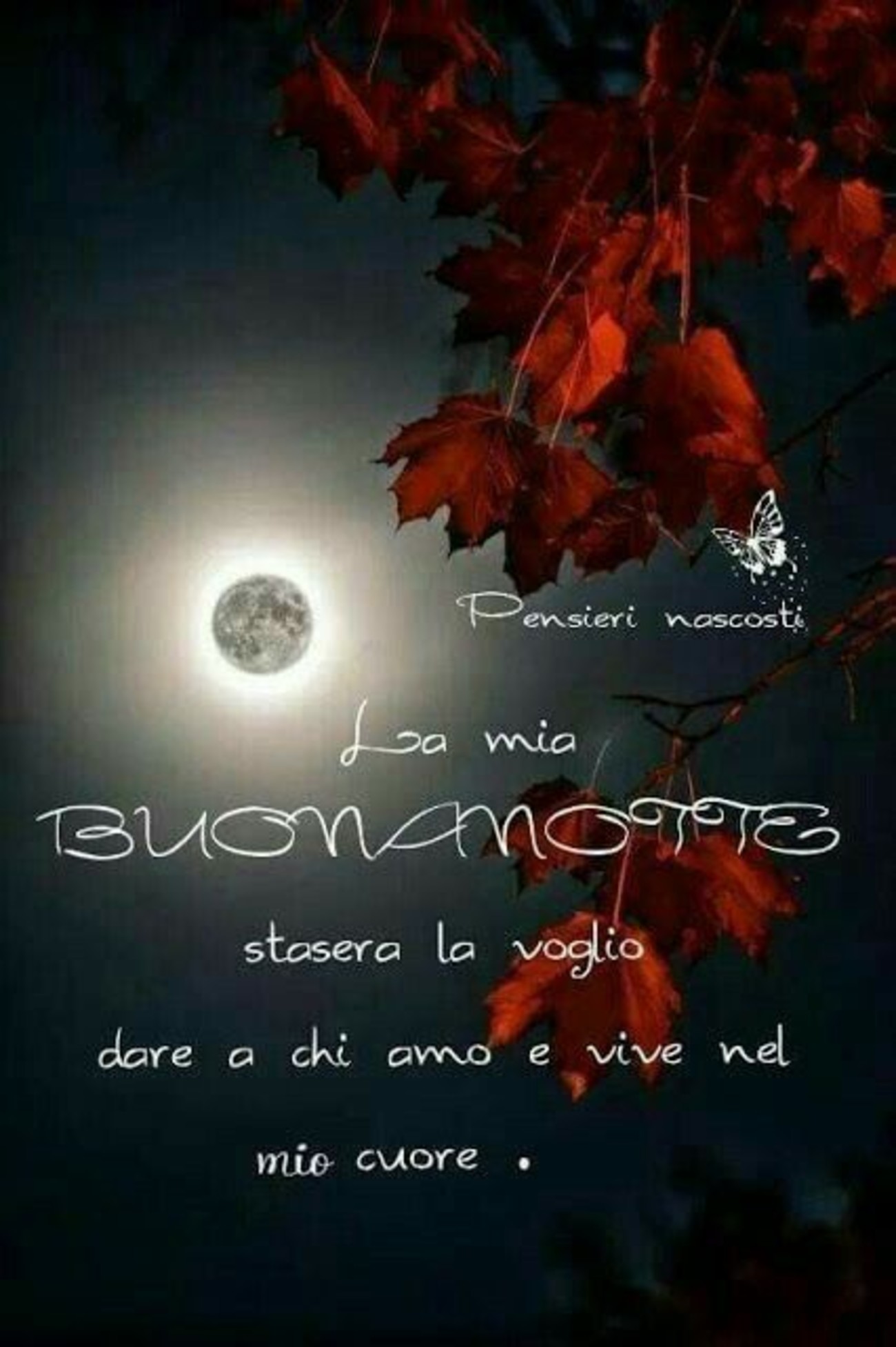 Buonanotte dolce (20)