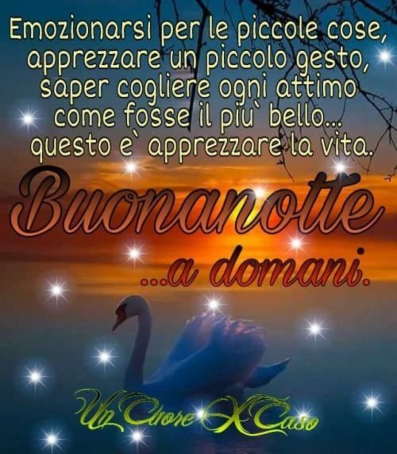 Buonanotte e sogni d'oro a tutti (1)