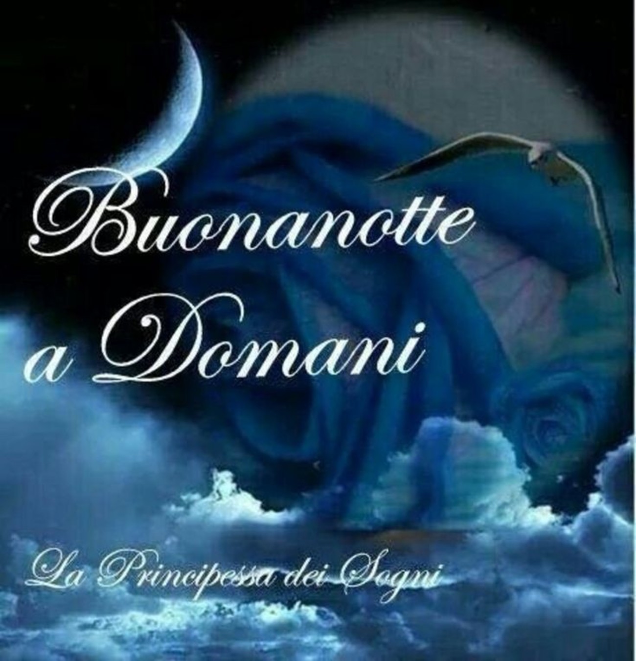 Buonanotte e sogni d'oro a tutti (2)