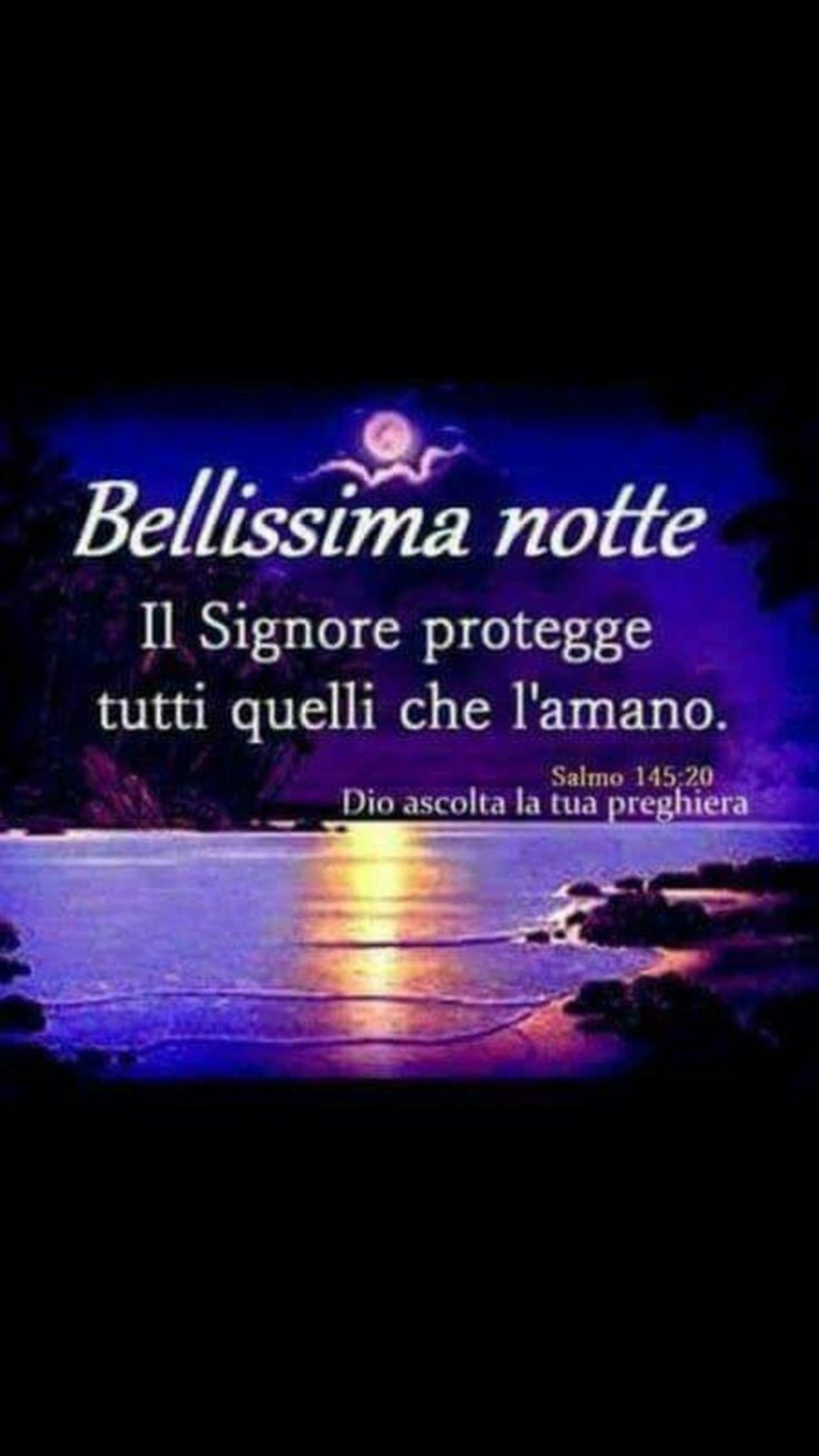 Buonanotte immagini facebook (10)