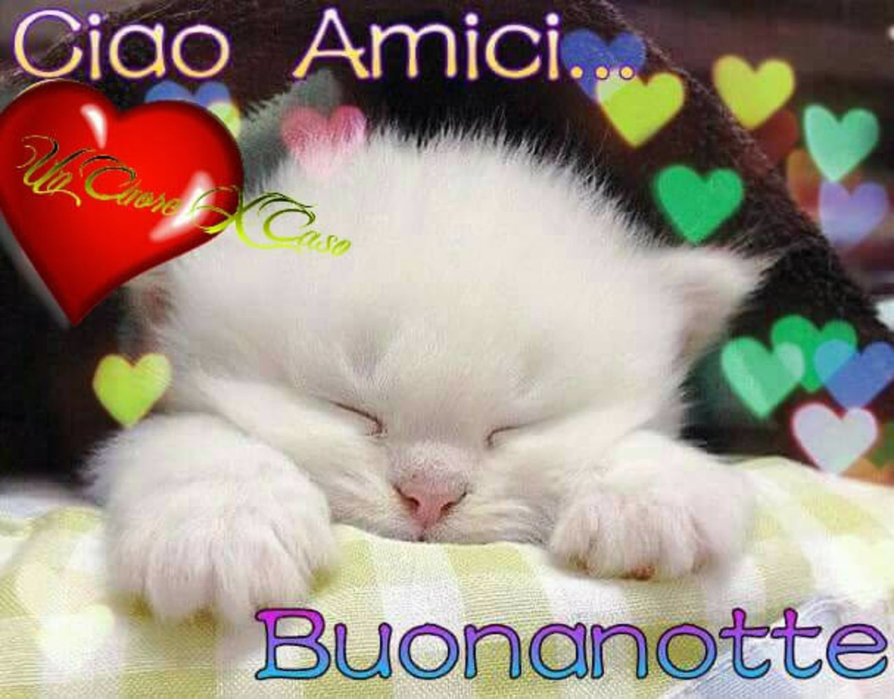 Buonanotte immagini facebook (7)