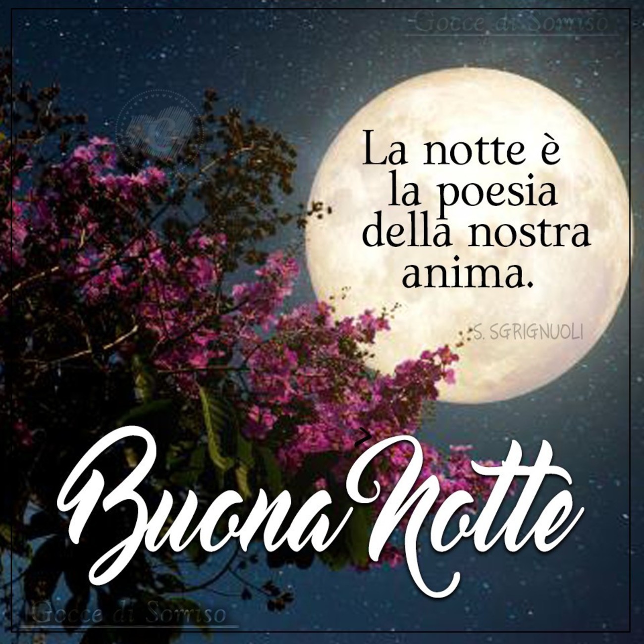 Buonanotte immagini whatsapp (12)