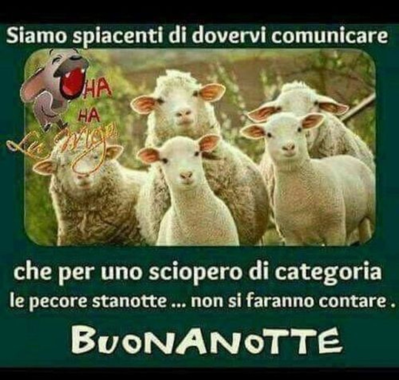 Buonanotte immagini whatsapp (5)