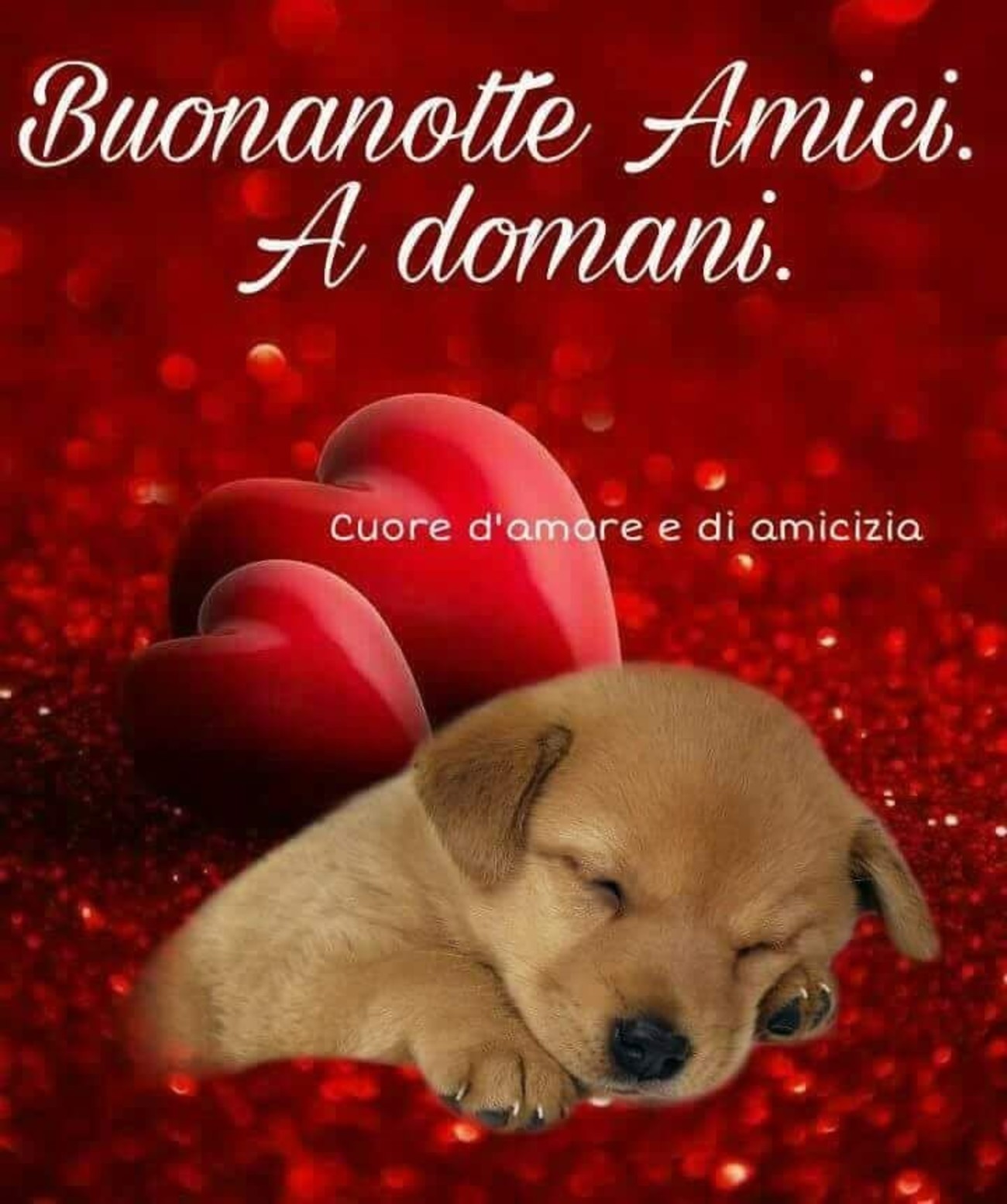 Buonanotte immagini whatsapp (6)