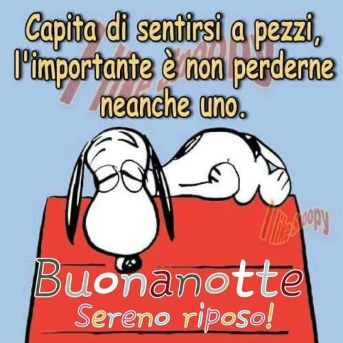 Buonanotte snoopy (1)