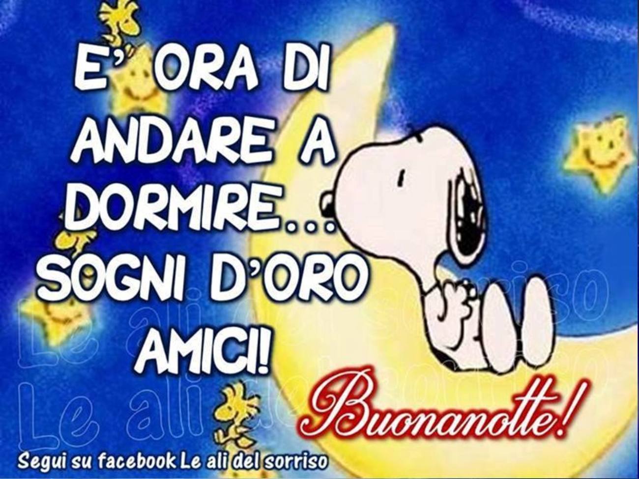 Buonanotte snoopy (2)