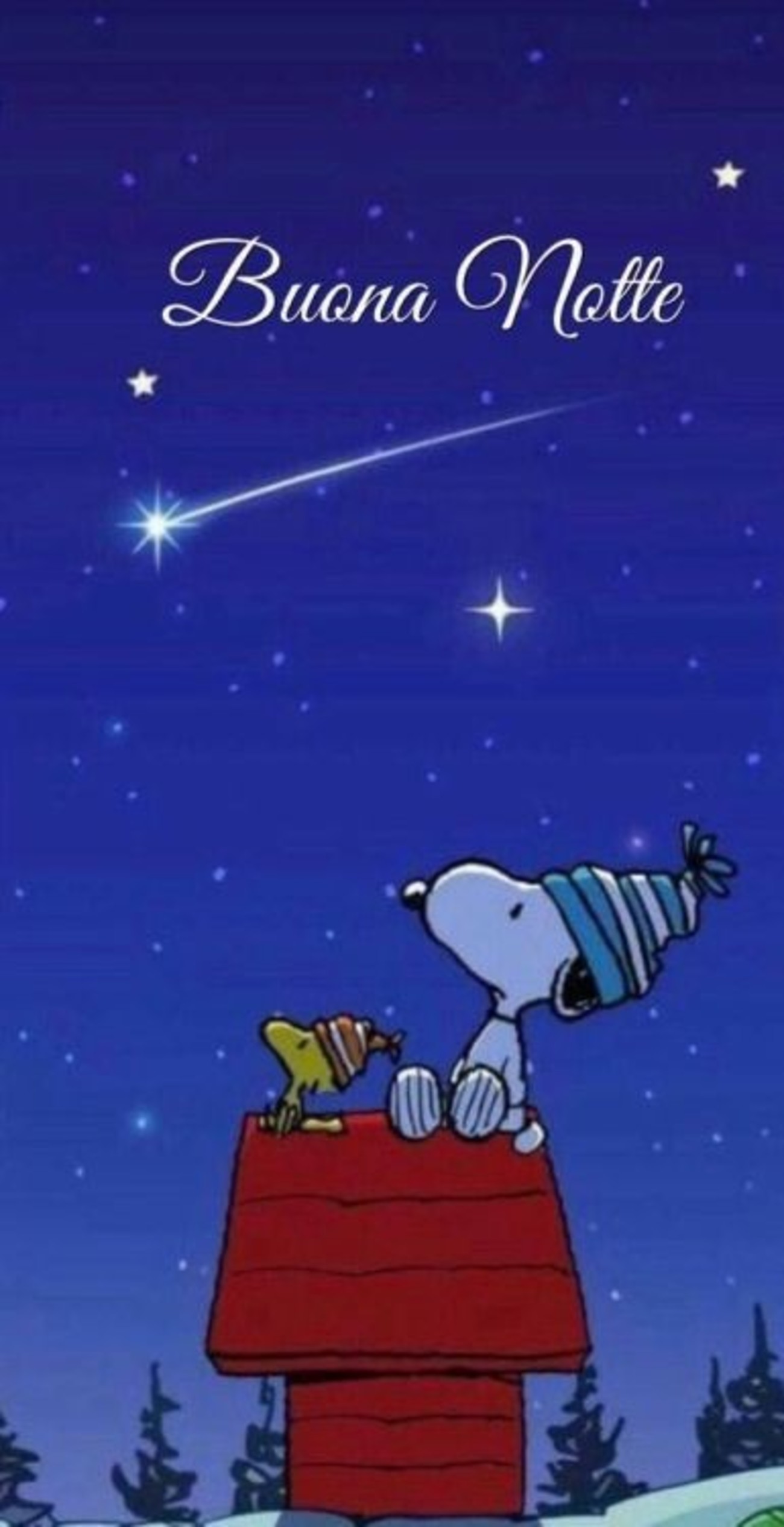 Buonanotte snoopy