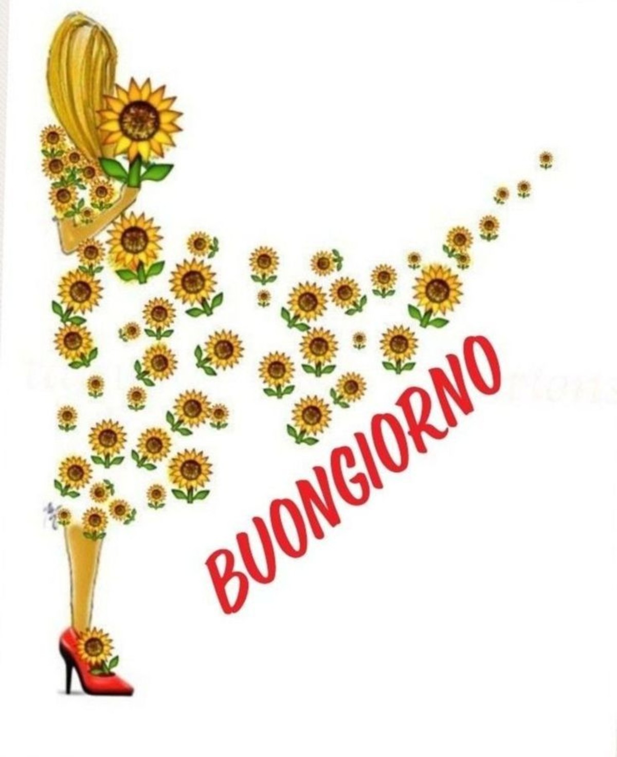 Buongiorno (1)